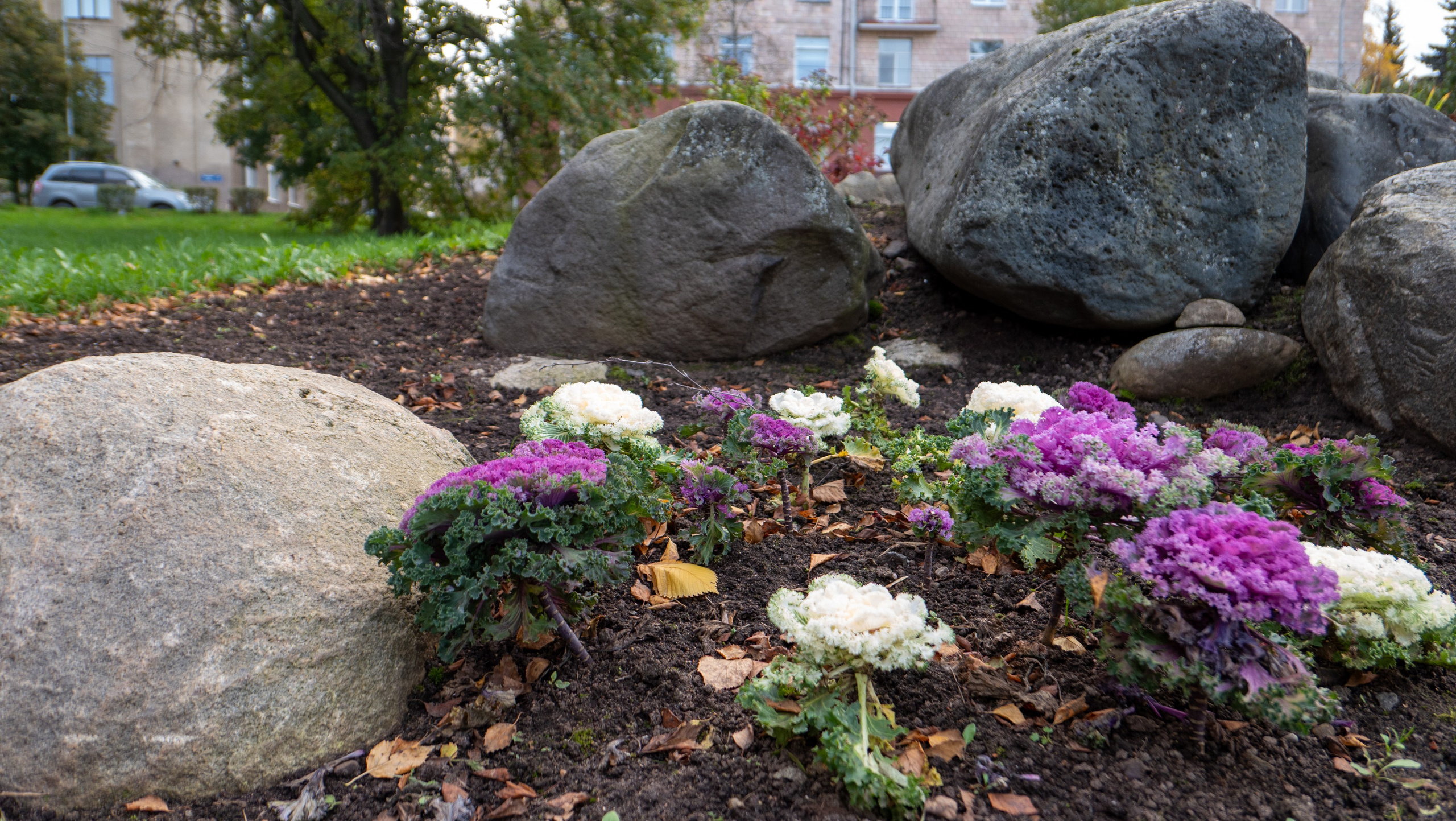 Карелия. Семейный, детский фотограф в г. Югорск Юрий Толкач