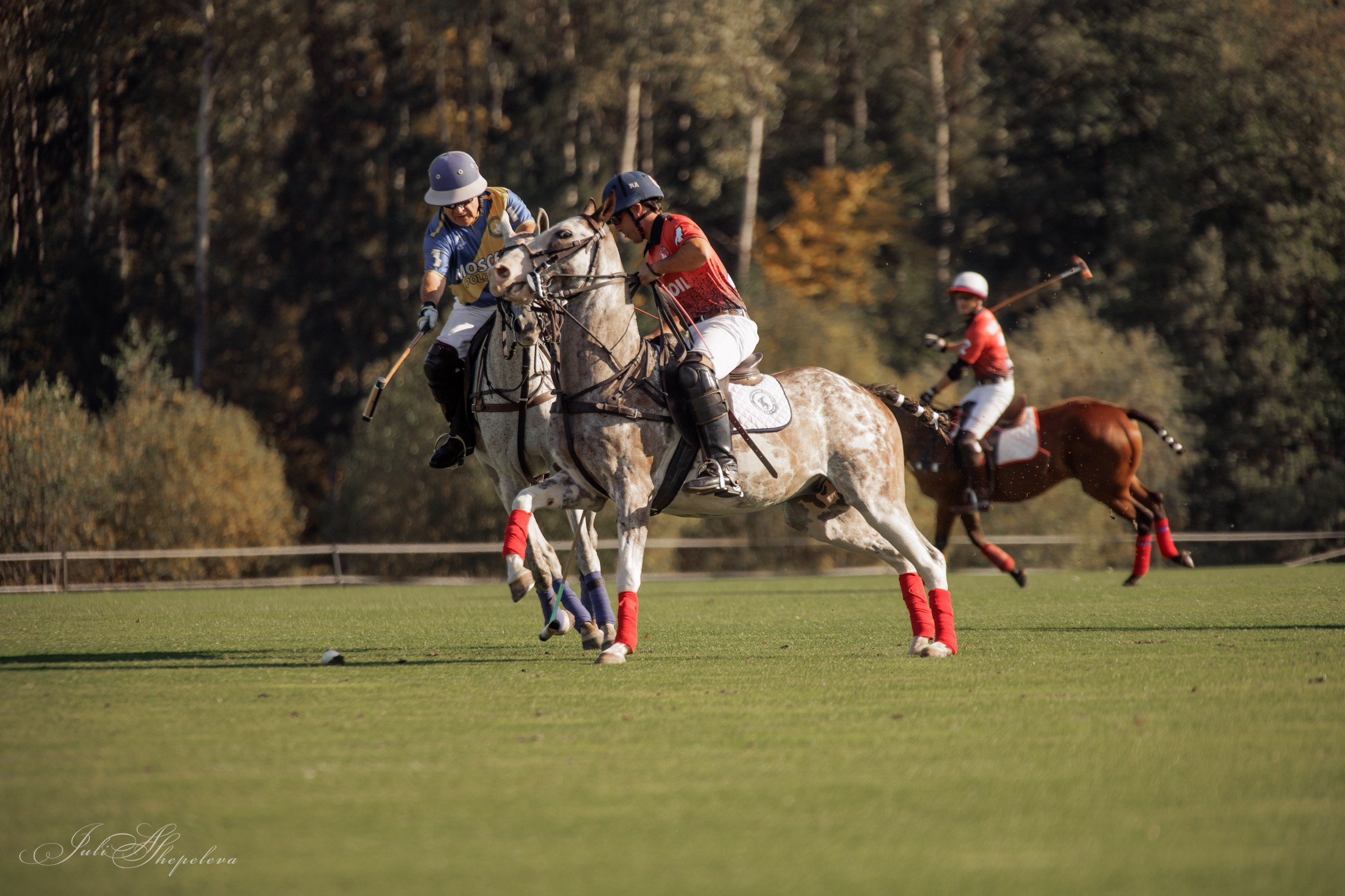 Осенний кубок по конному поло. Детская Конная фотография в Москве Юлия Шепелева