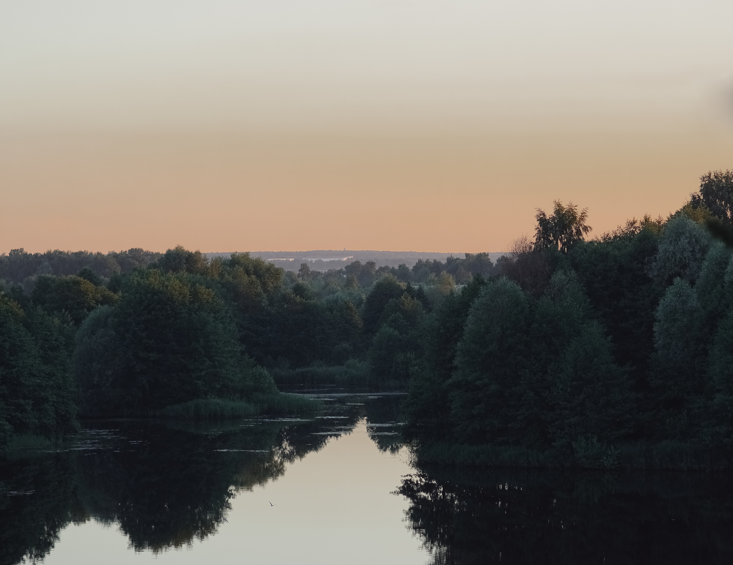 Александр и Екатерина. Фотограф Барт Полина. Снимаю в Санкт-Петербурге, Москве, Приозерске