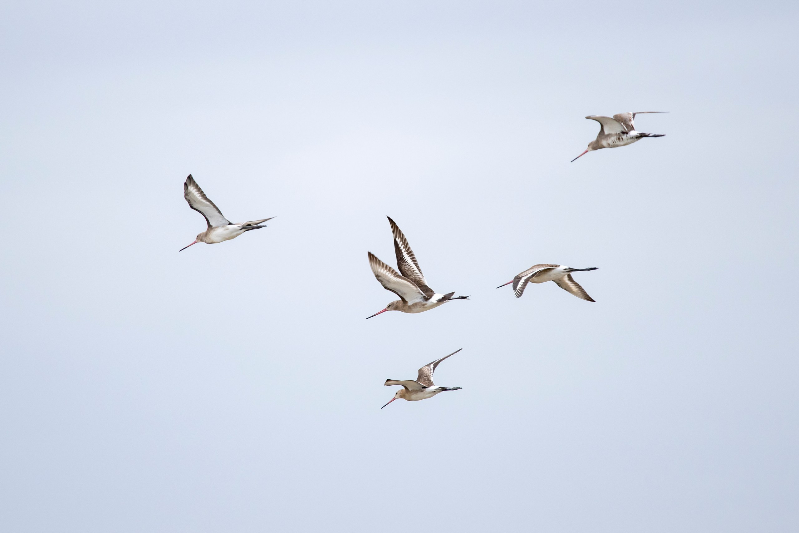 Природа Дагестана, сентябрь 2024. Foto-Zuev фотография как искусство