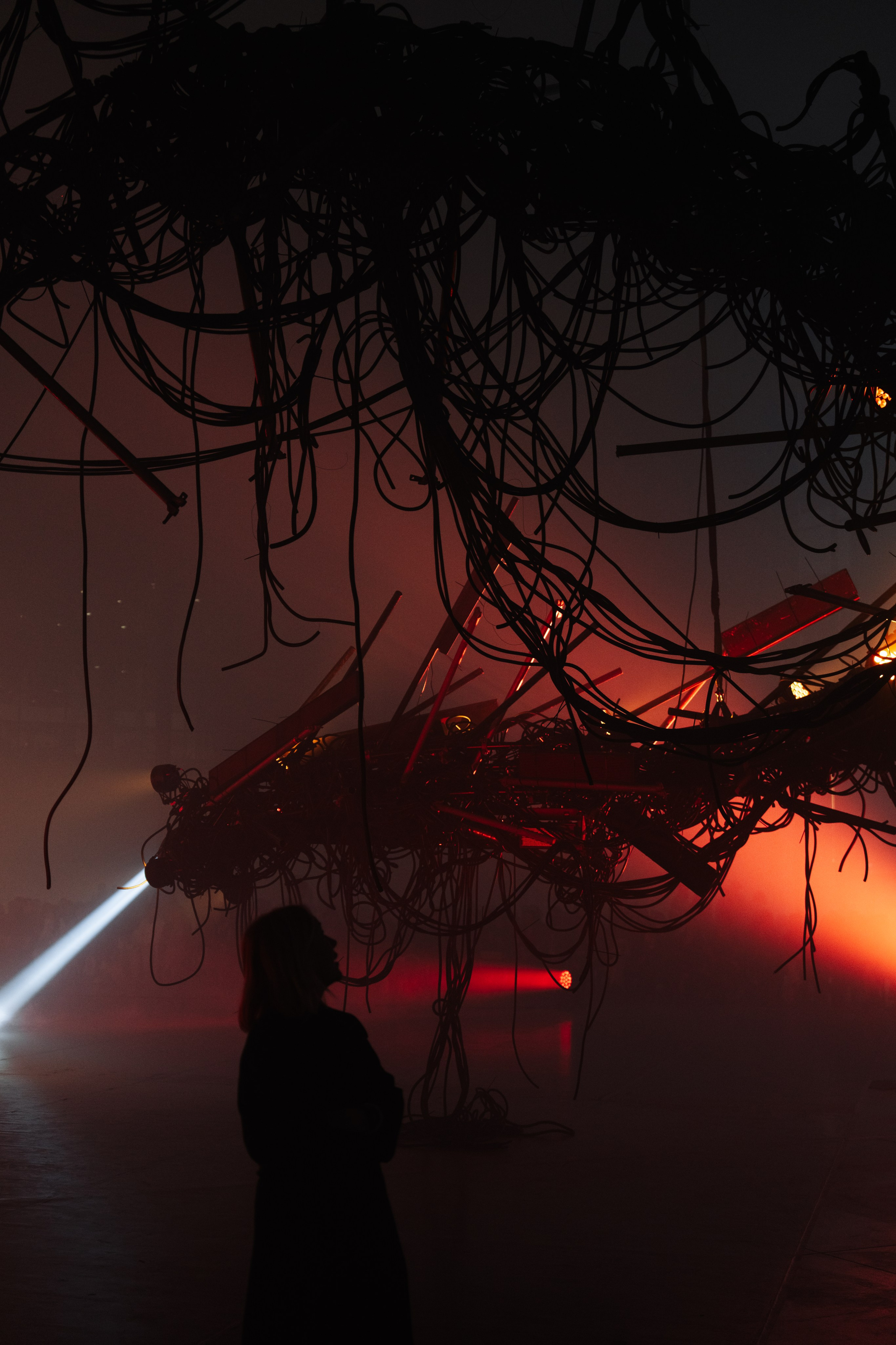 PERFORMA, The Hour of the Horse. @tomrus: Рустам Шагиморданов — фотограф