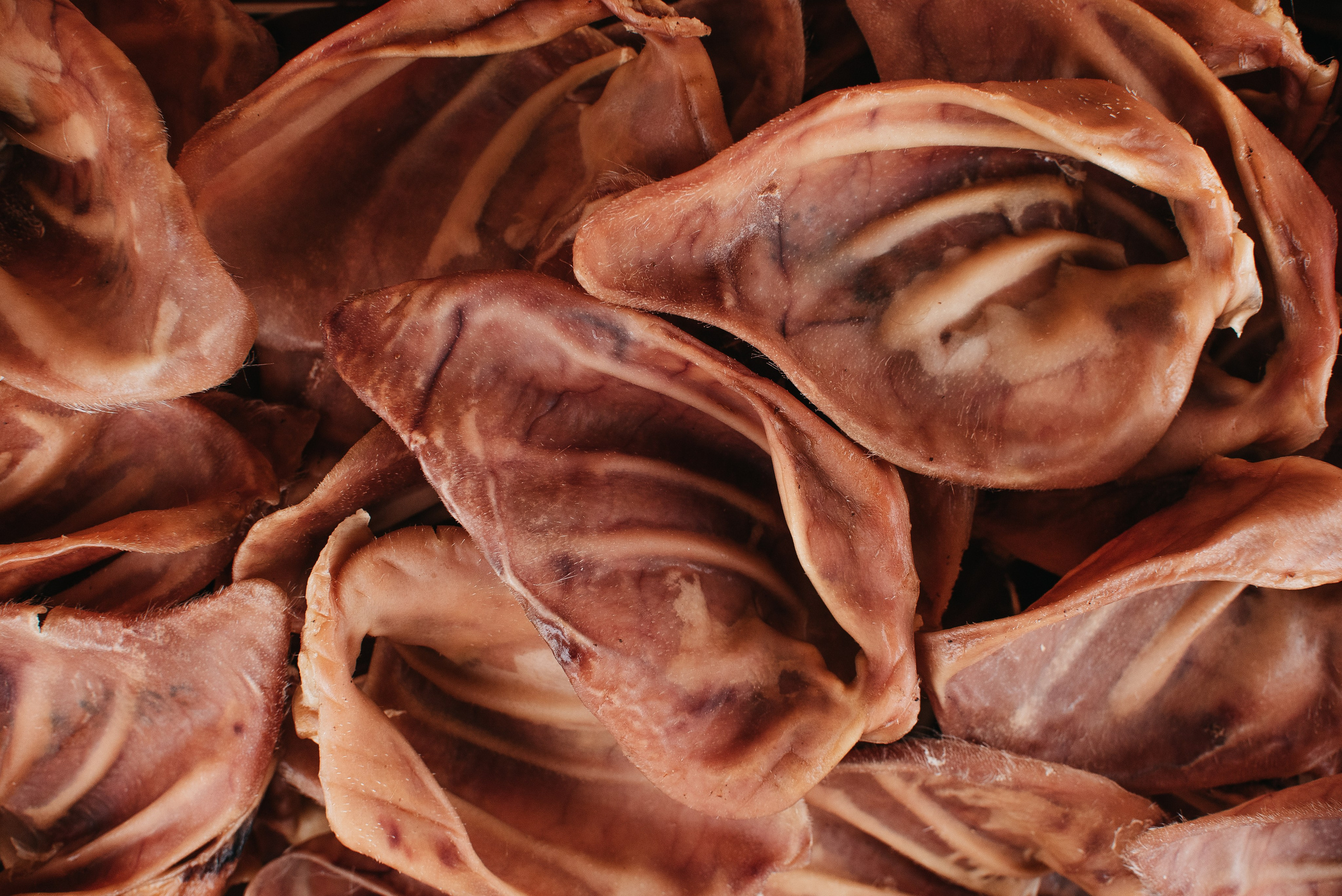 Dog Bone лакомства. Фотограф-анималист Валерия, Москва, Мытищи