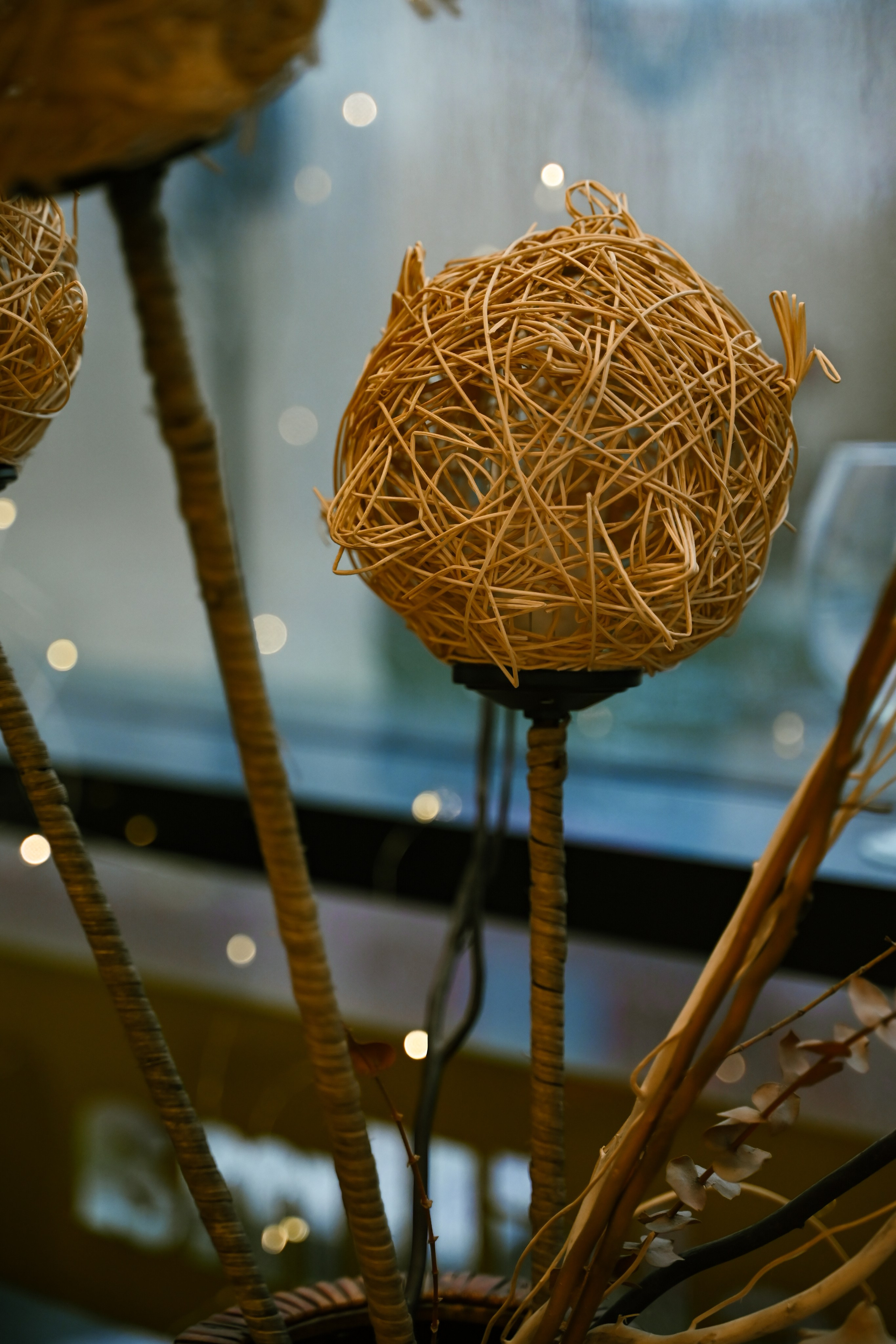 Танцы. Открытый урок. Фотограф в Санкт-Петербурге