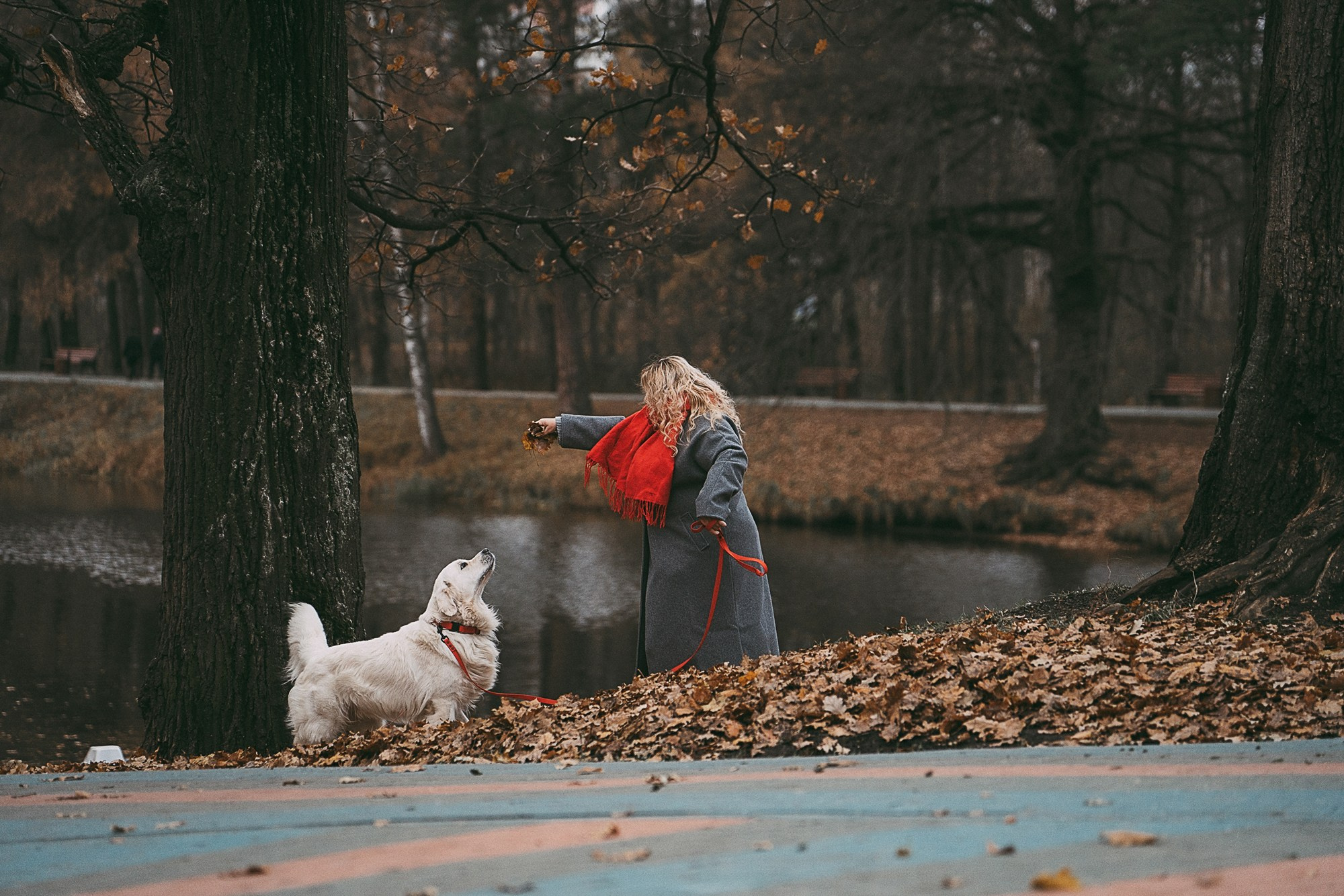 Лена и Мерлин. Фотограф анималист в Москве и Санкт-Петербурге Свиридова Анна