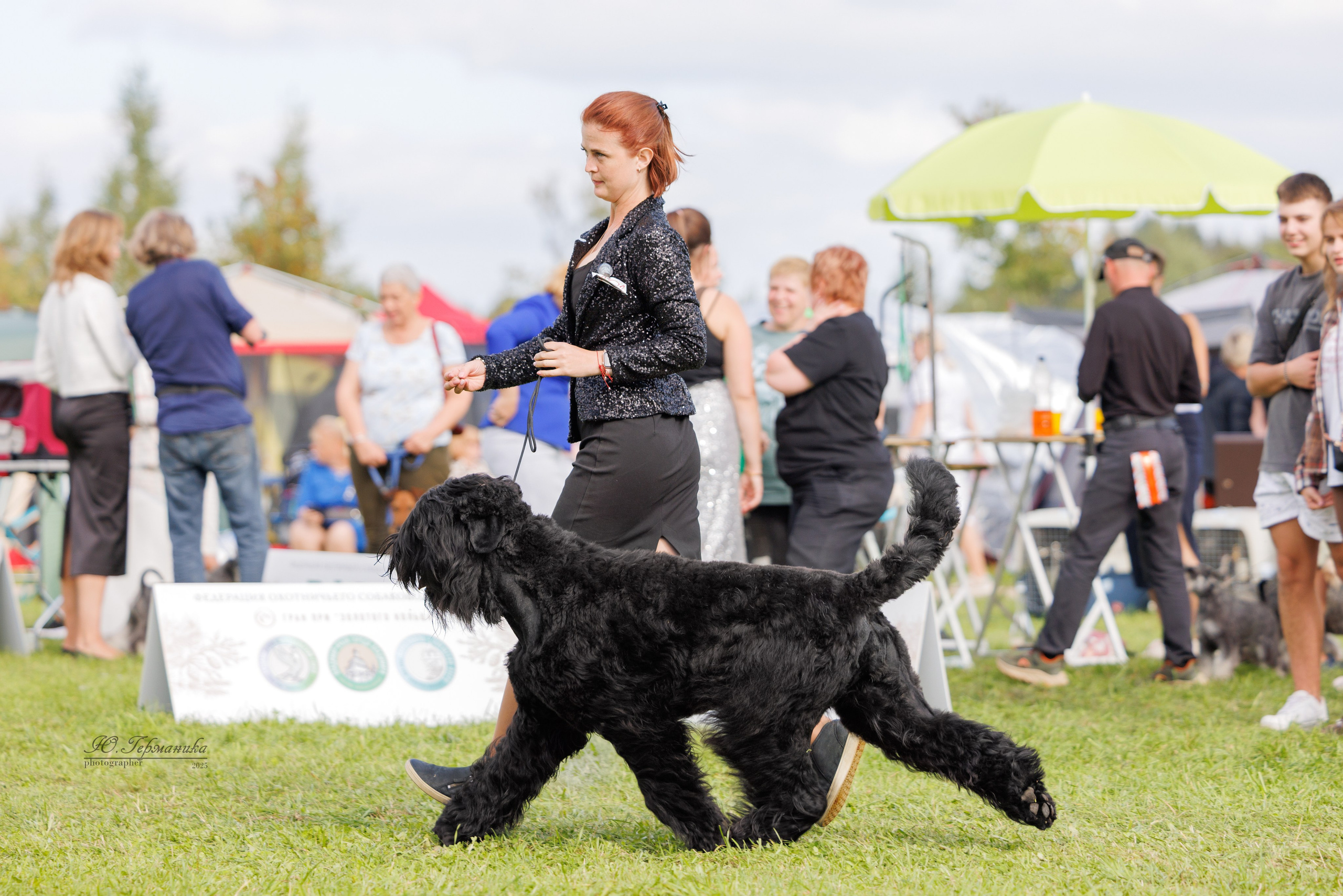 Переславль 5-7.08.2025. Фотограф-анималист Юлия Германика