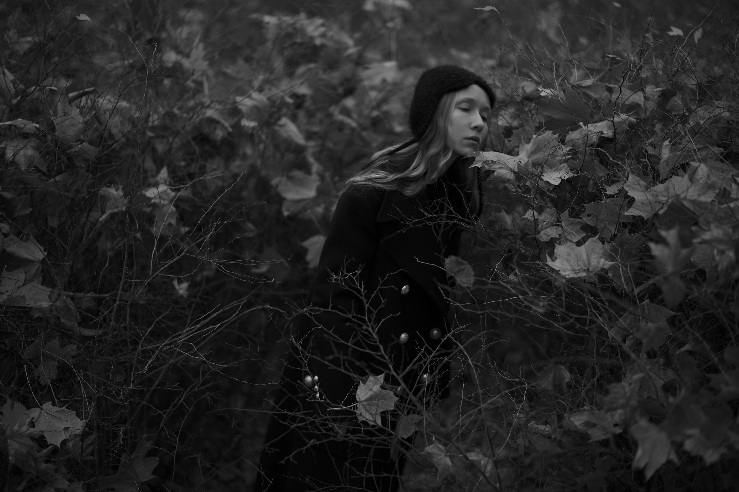 Black Autumn. Фотограф Александр Медведев