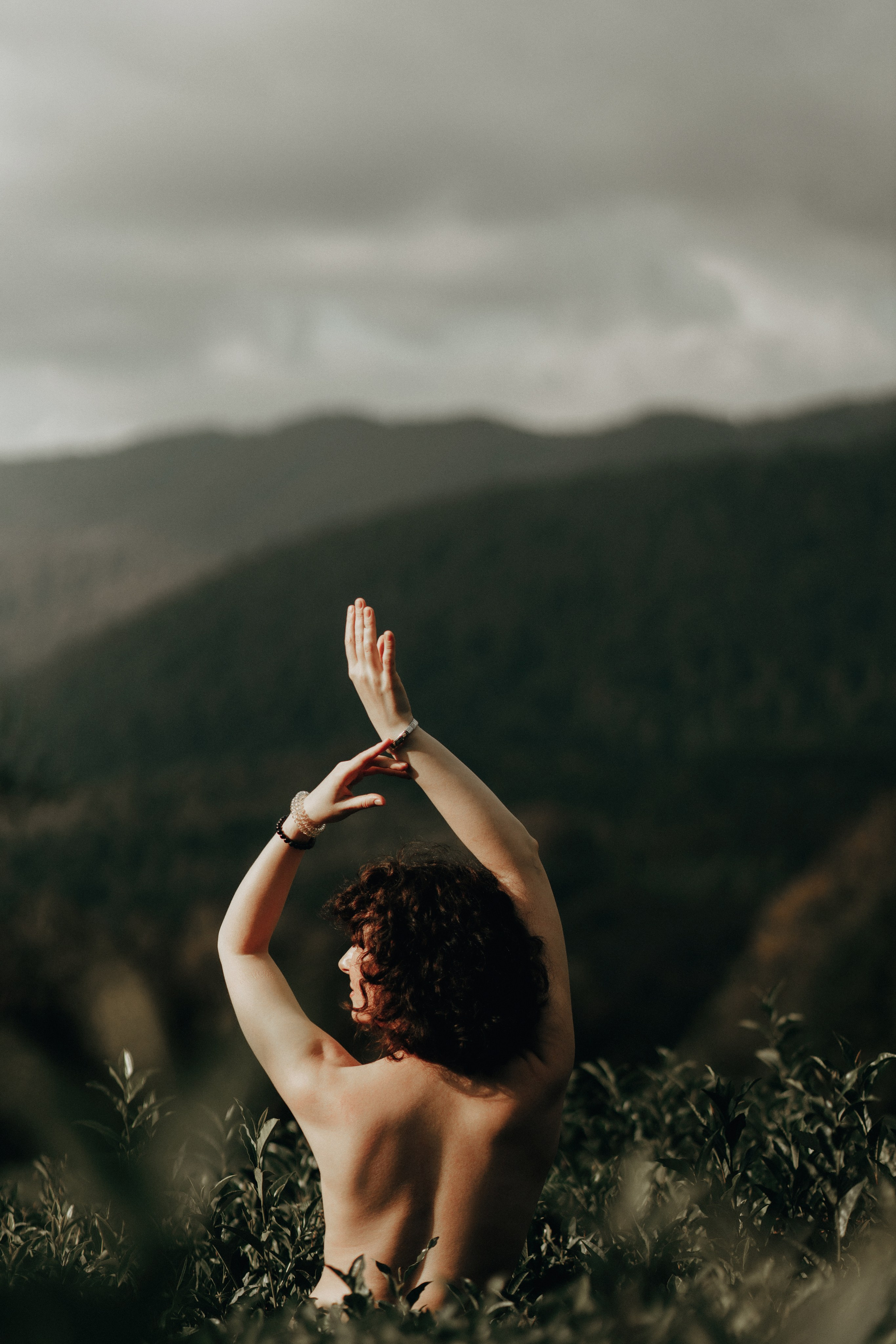 Чайные плантации мацеста. Фотограф Сочи Татьяна Зорина