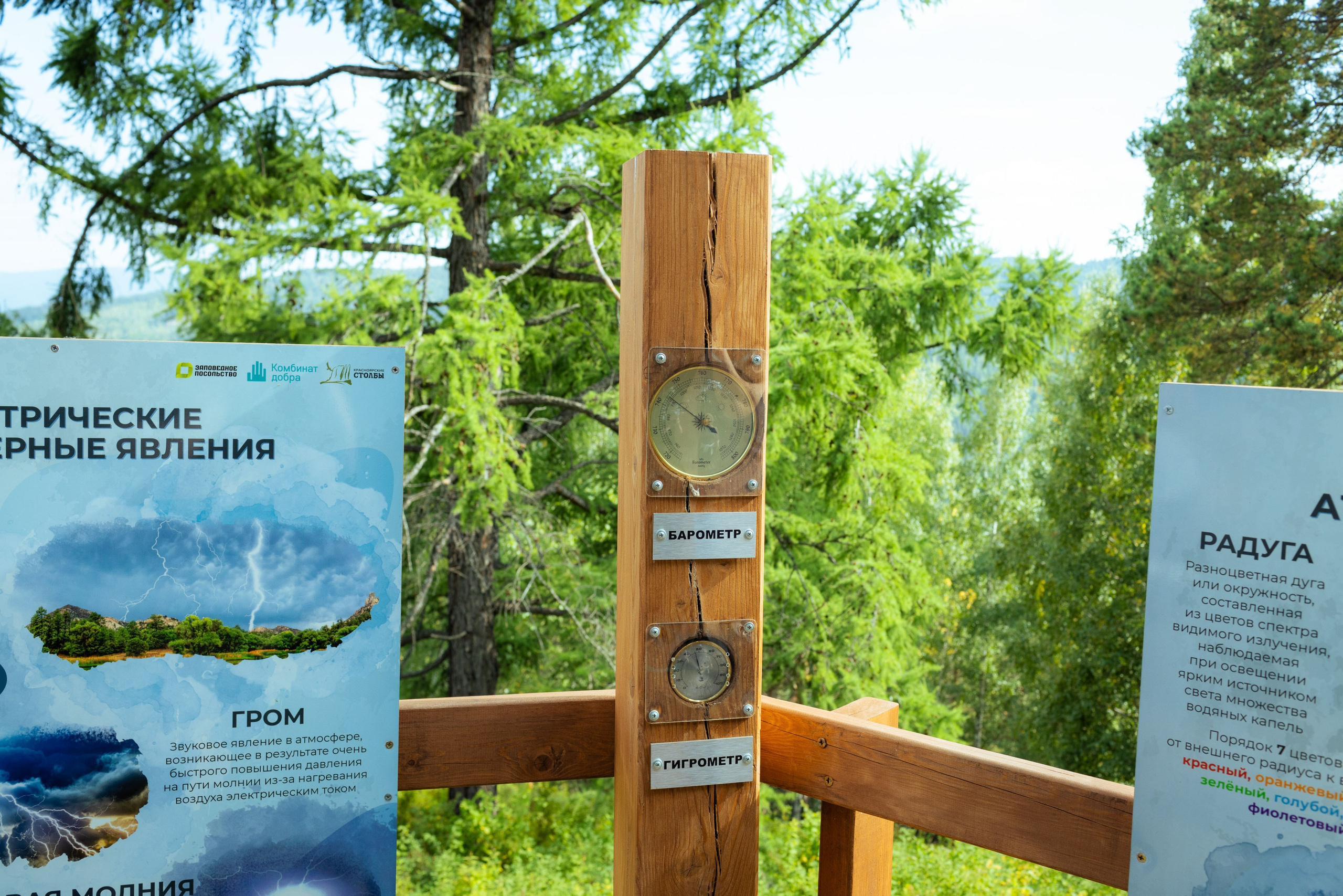 Красноярск (осень 2023). Фотограф Виноградов Константин