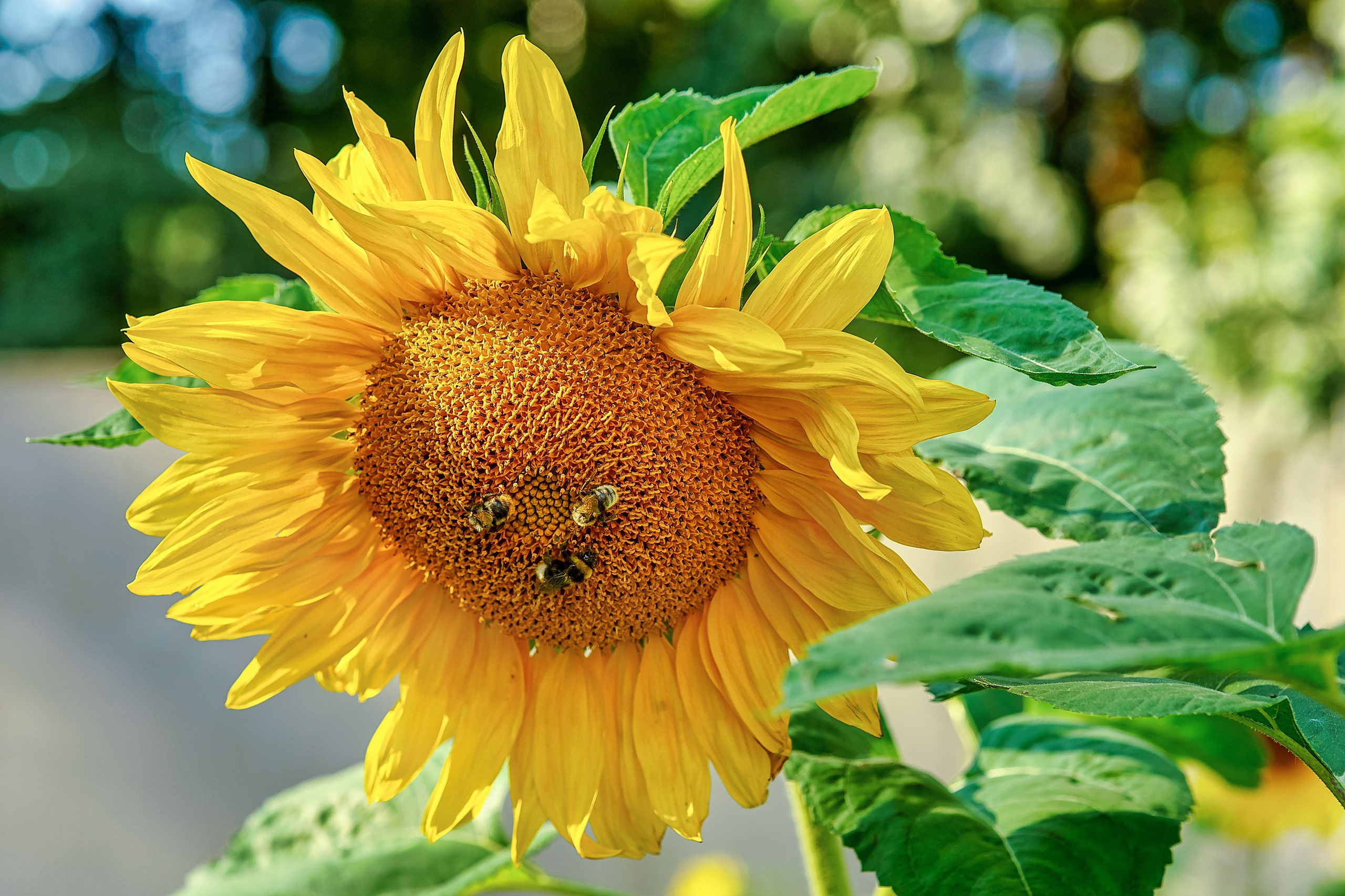 Наша мать — природа. Фотограф Владимир Артамонов