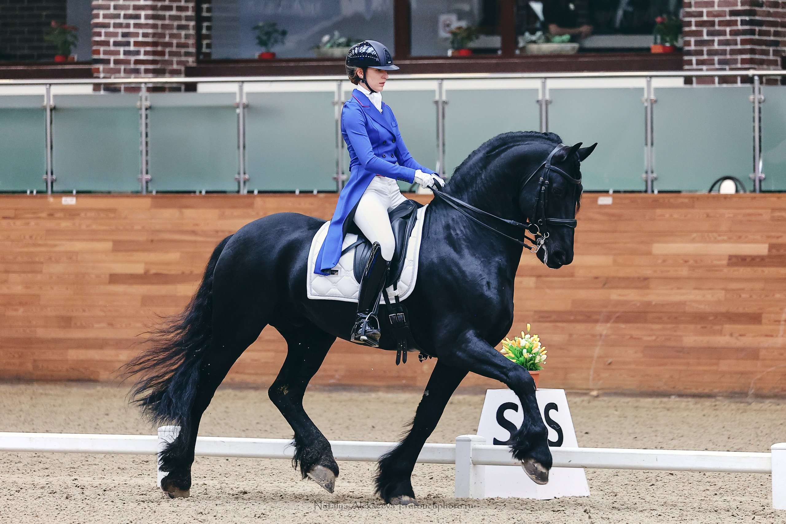 Зимнее Первенство Maxima Park по выездке, Maxima Stables | 03'2023. Репортажный фотограф и ретушер в Москве Наталья Алексеева
