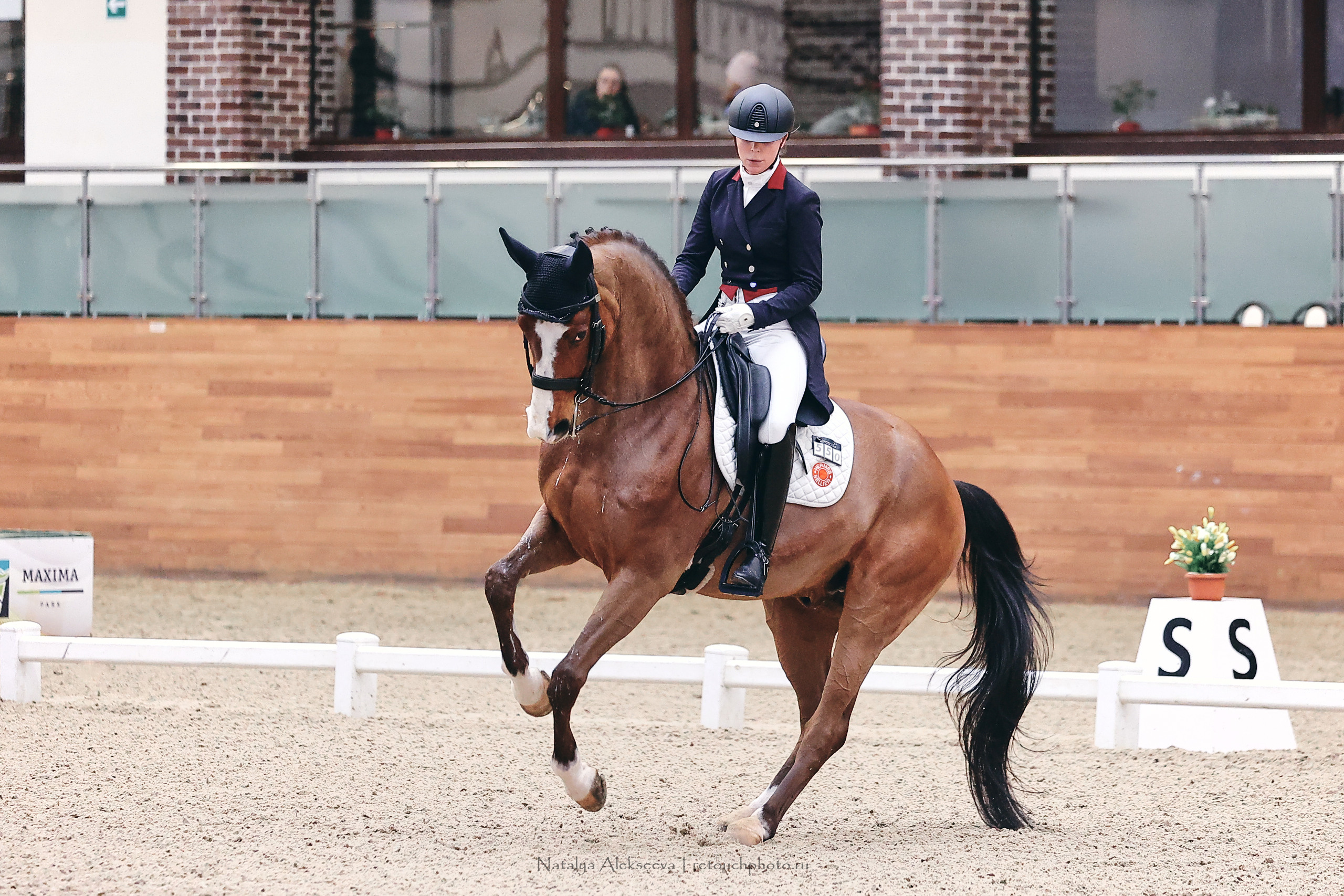 Зимнее Первенство Maxima Park по выездке, Maxima Stables | 03'2023. Репортажный фотограф и ретушер в Москве Наталья Алексеева