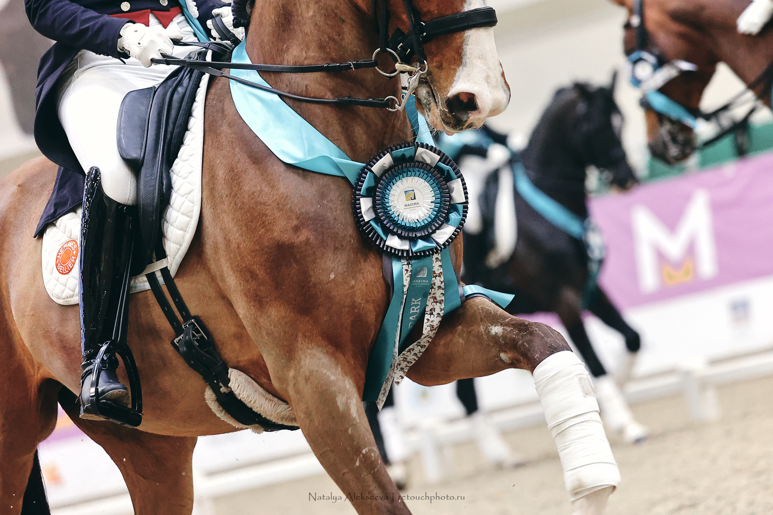 Зимнее Первенство Maxima Park по выездке, Maxima Stables | 03'2023. Репортажный фотограф и ретушер в Москве Наталья Алексеева
