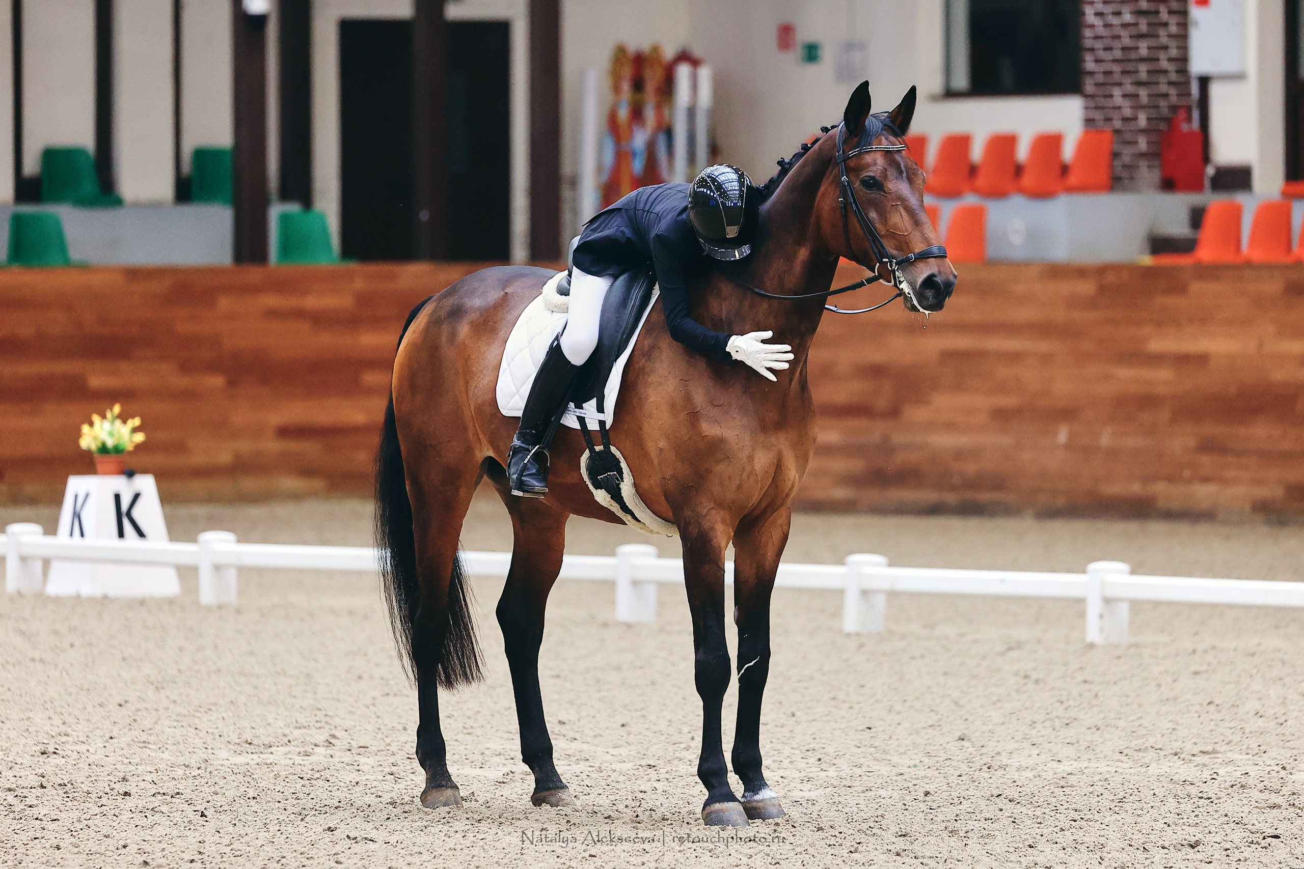 Зимнее Первенство Maxima Park по выездке, Maxima Stables | 03'2023. Репортажный фотограф и ретушер в Москве Наталья Алексеева