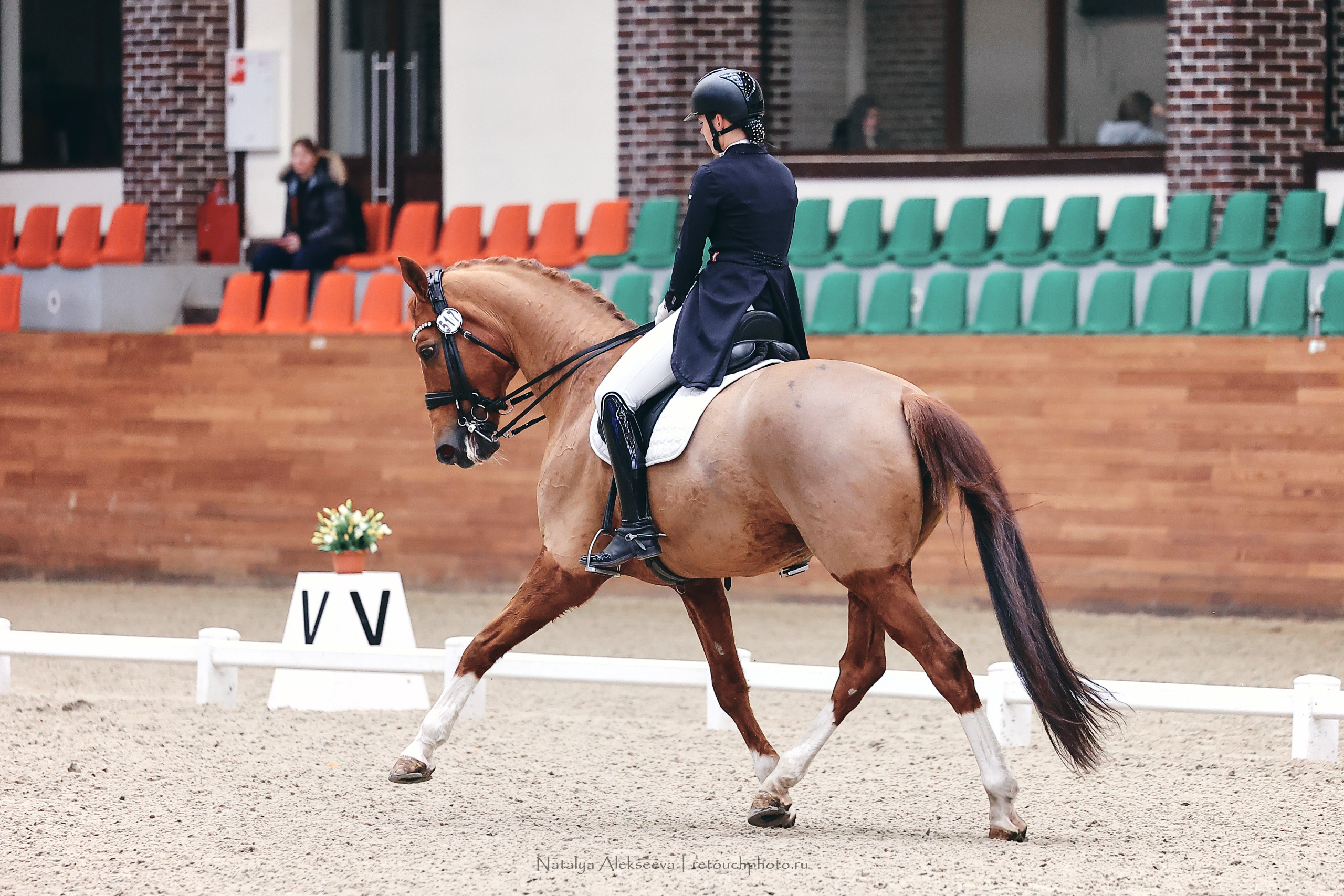 Зимнее Первенство Maxima Park по выездке, Maxima Stables | 03'2023. Репортажный фотограф и ретушер в Москве Наталья Алексеева