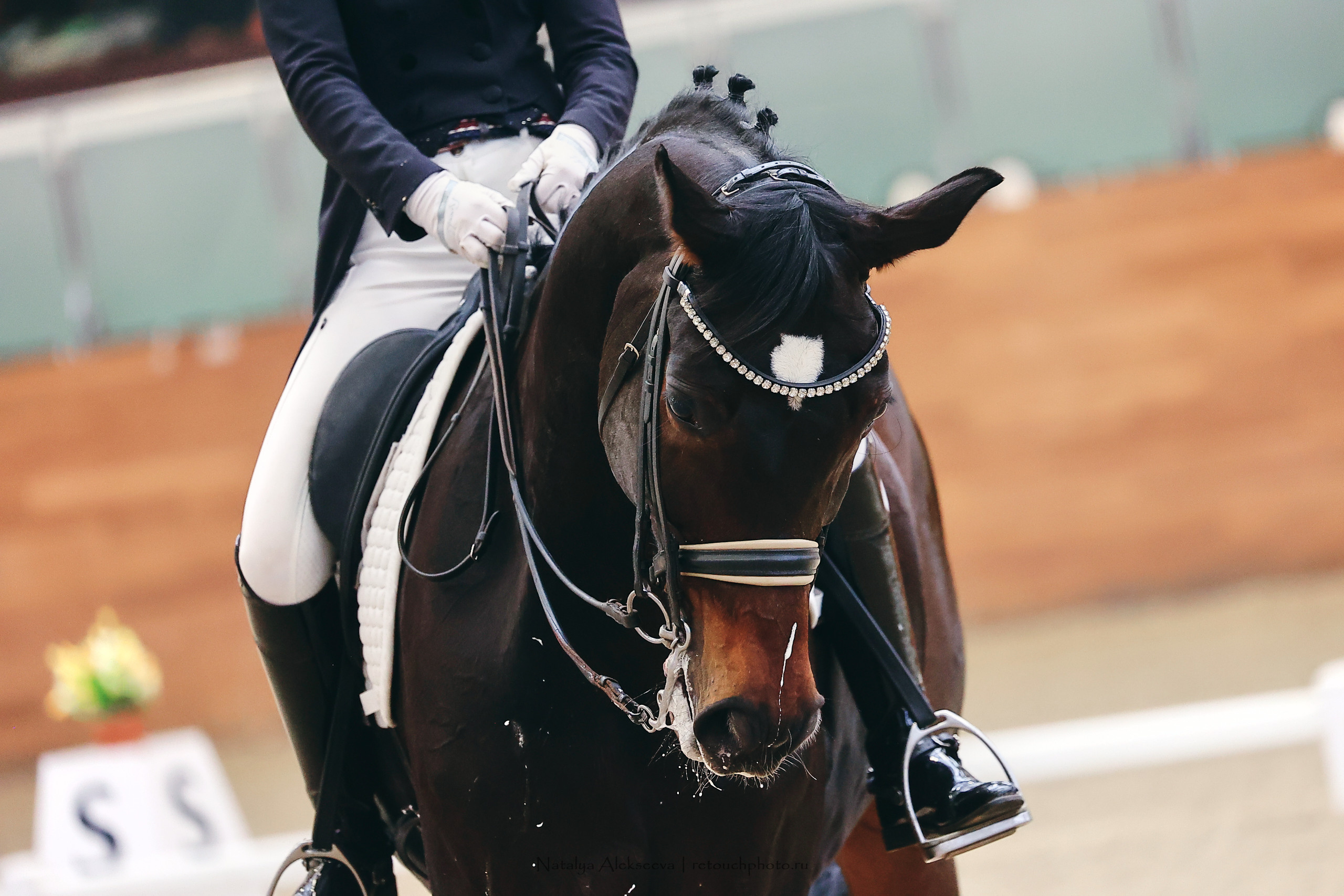 Зимнее Первенство Maxima Park по выездке, Maxima Stables | 03'2023. Репортажный фотограф и ретушер в Москве Наталья Алексеева