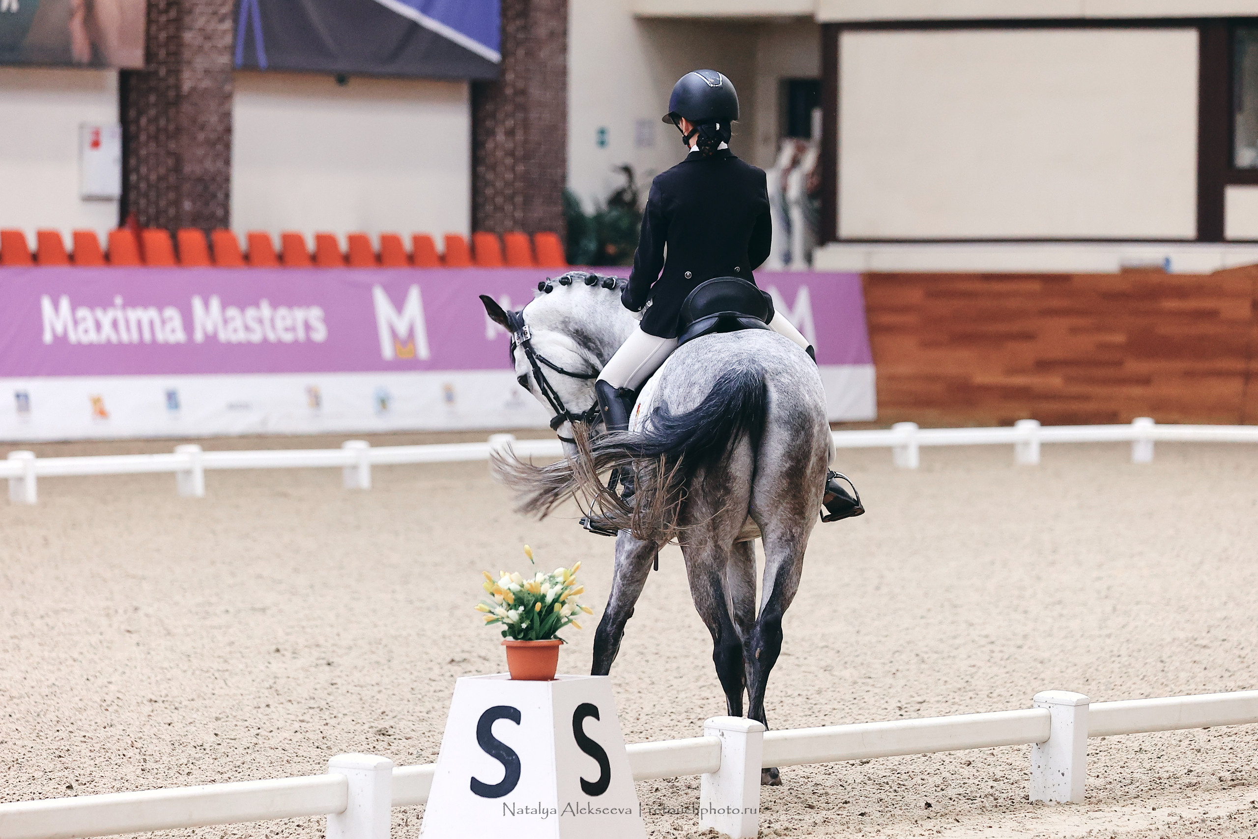 Зимнее Первенство Maxima Park по выездке, Maxima Stables | 03'2023. Репортажный фотограф и ретушер в Москве Наталья Алексеева