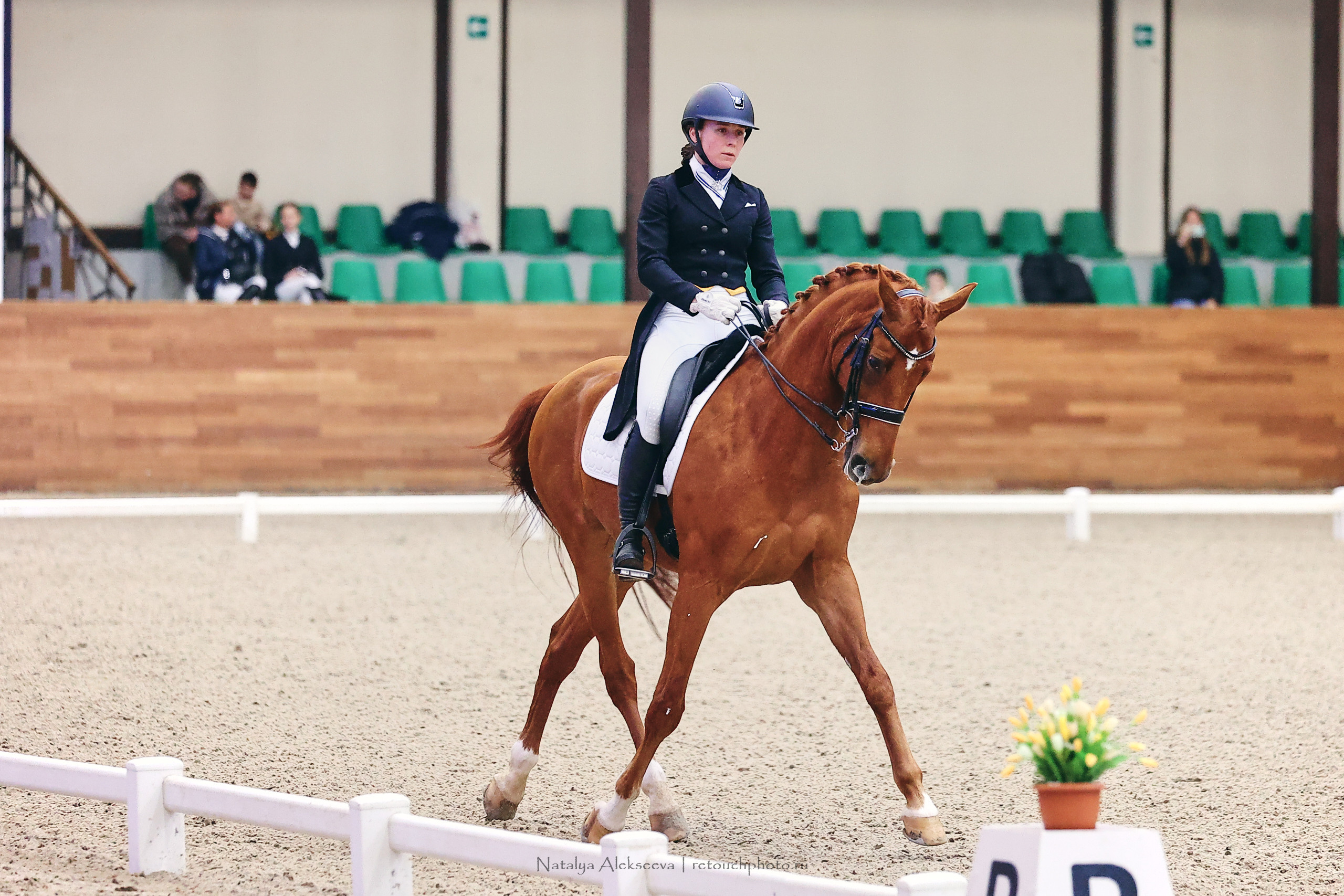 Зимнее Первенство Maxima Park по выездке, Maxima Stables | 03'2023. Репортажный фотограф и ретушер в Москве Наталья Алексеева
