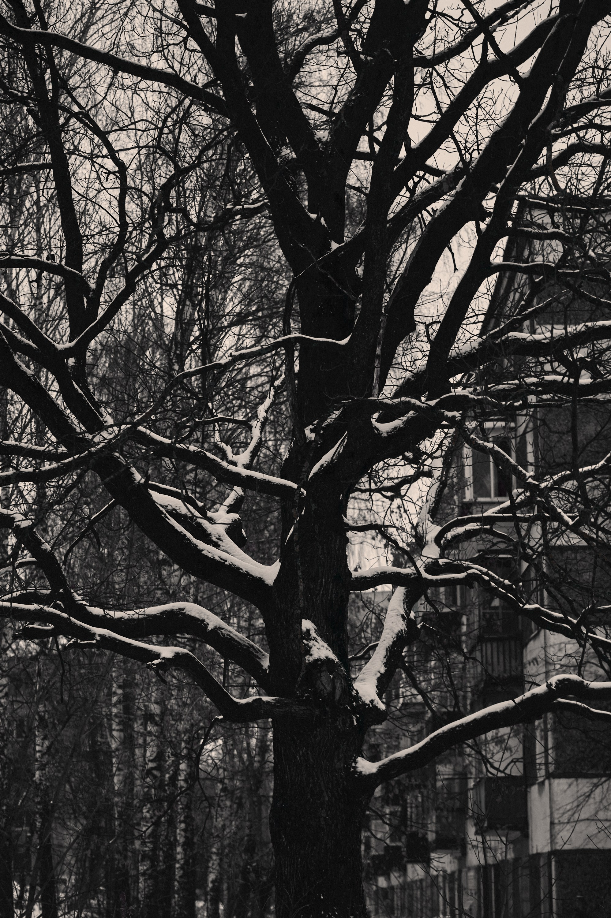 Фотопоказ «Каркас». Коммерческий фотограф в Казани Ксения Добролюбова