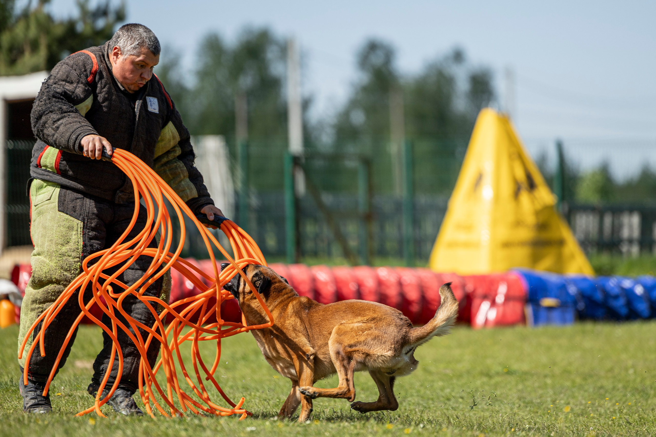 Испытания по мондьорингу в Нижнем Новгороде. Фотограф-анималист Анна Маринич