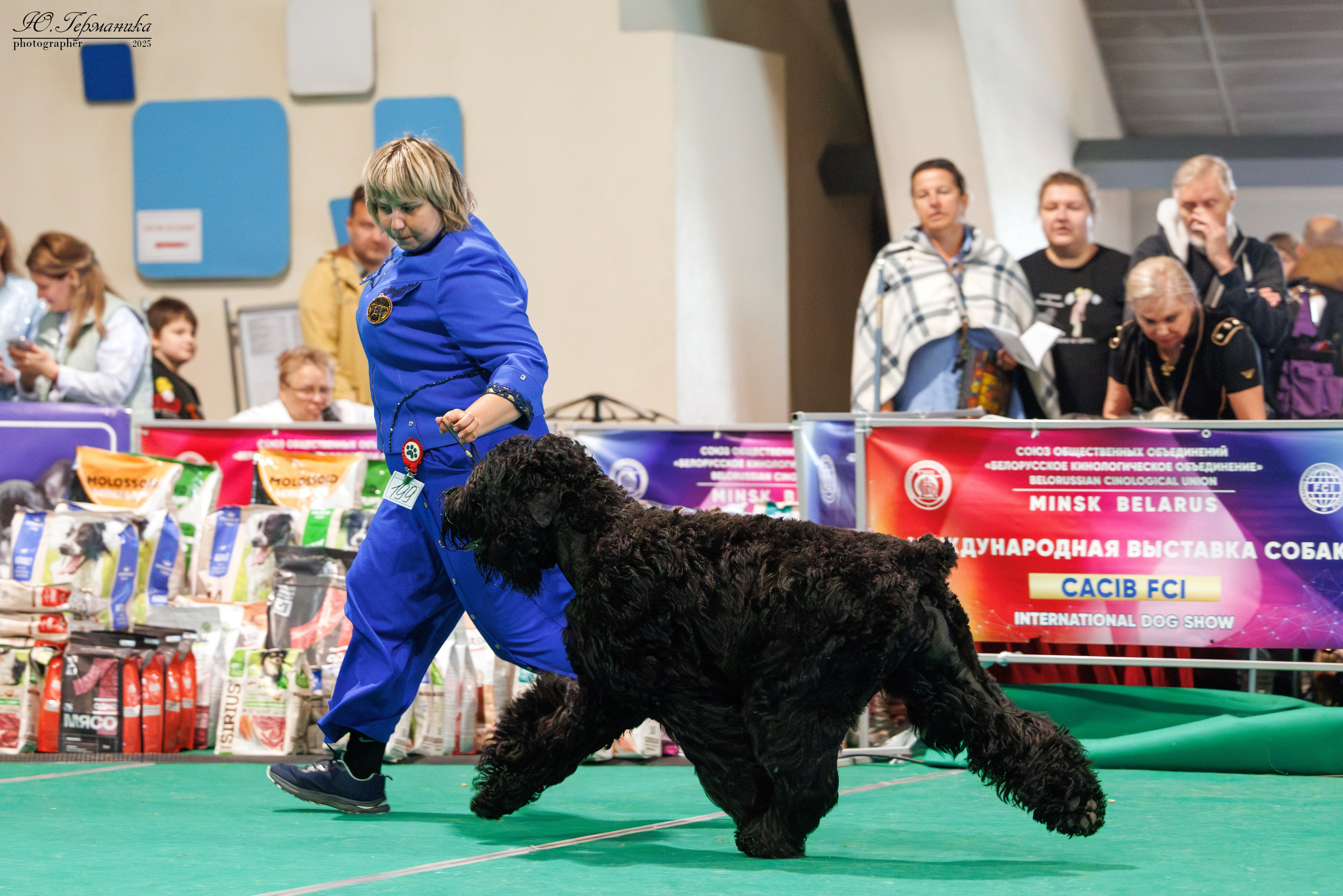 Минск 31.05-1.06.2025. Фотограф-анималист Юлия Германика