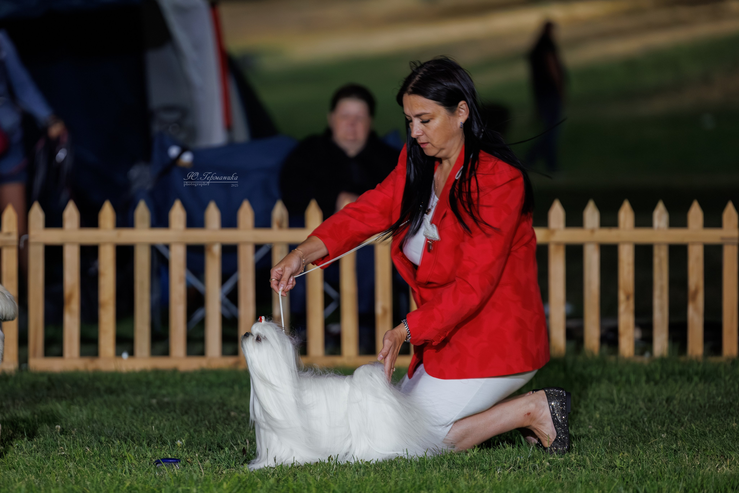 Ереван 3хCACIB 23-25.06.2025. Фотограф-анималист Юлия Германика