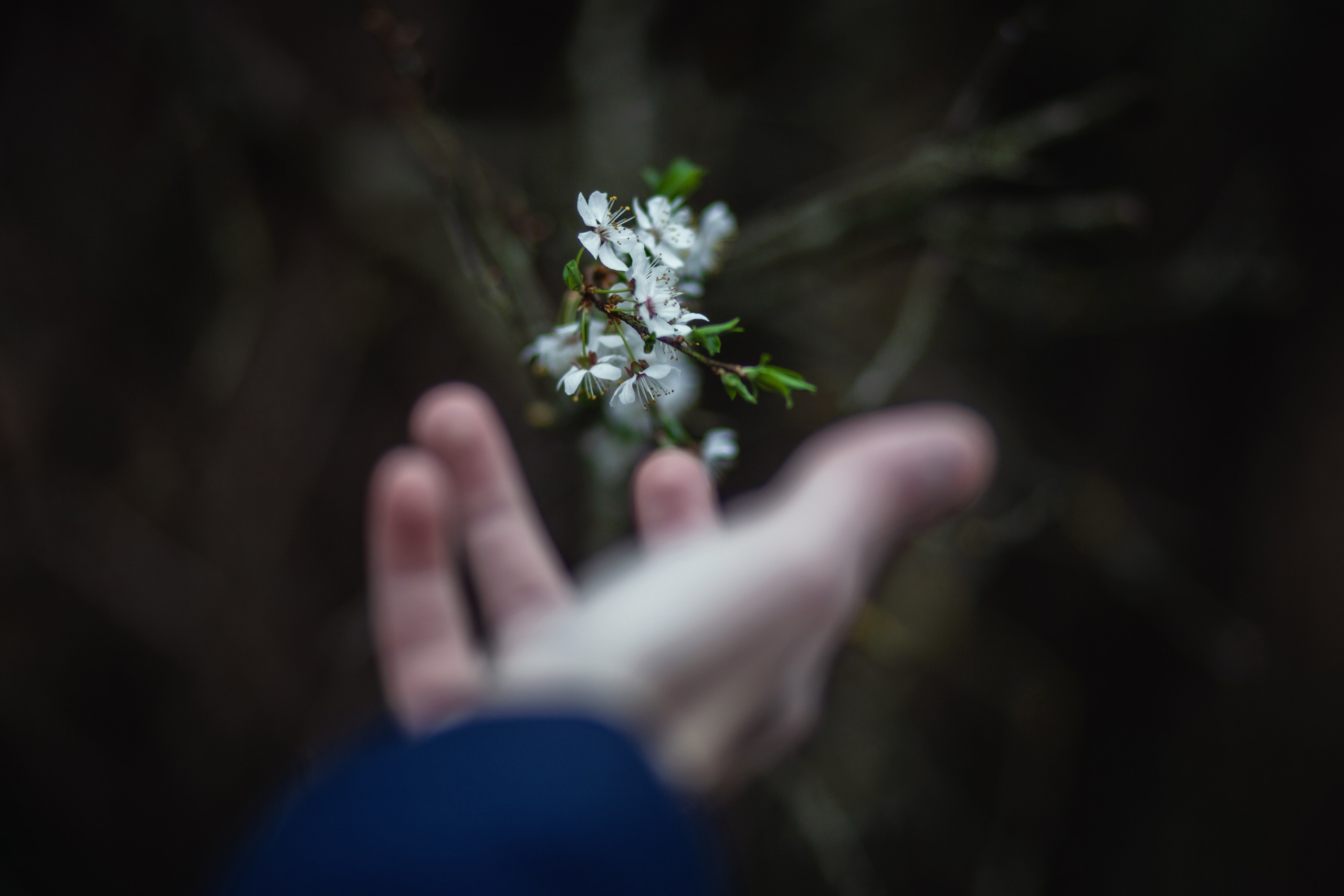 Фотосессии в Архипо-Осиповке — фотограф Оля Волчкова