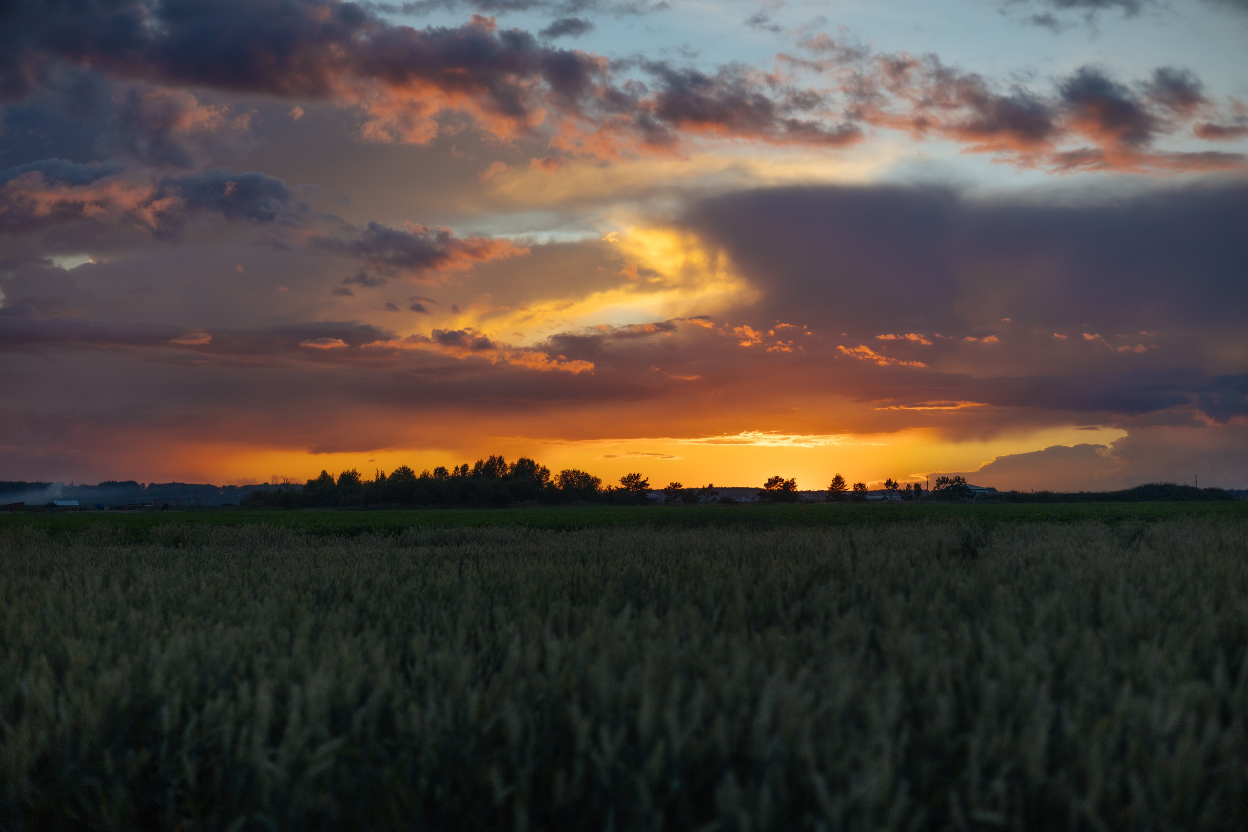 ПОЙМАЛА. Фотограф Красноярск съемки лавстори, фотосессия в студии, портретная съемка, творческие фотосессии