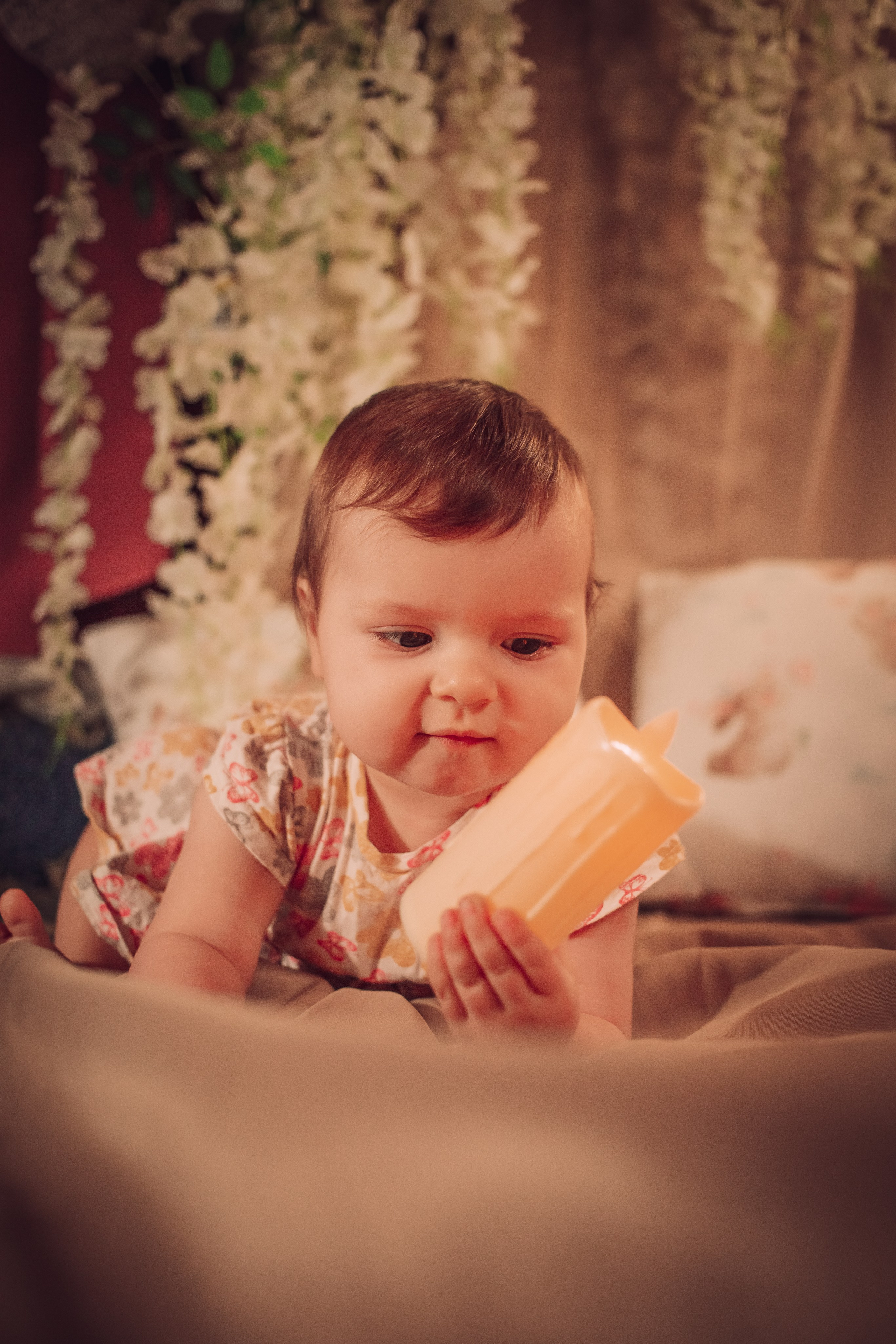 Anastasia. Фотограф Зеленоград, Москва