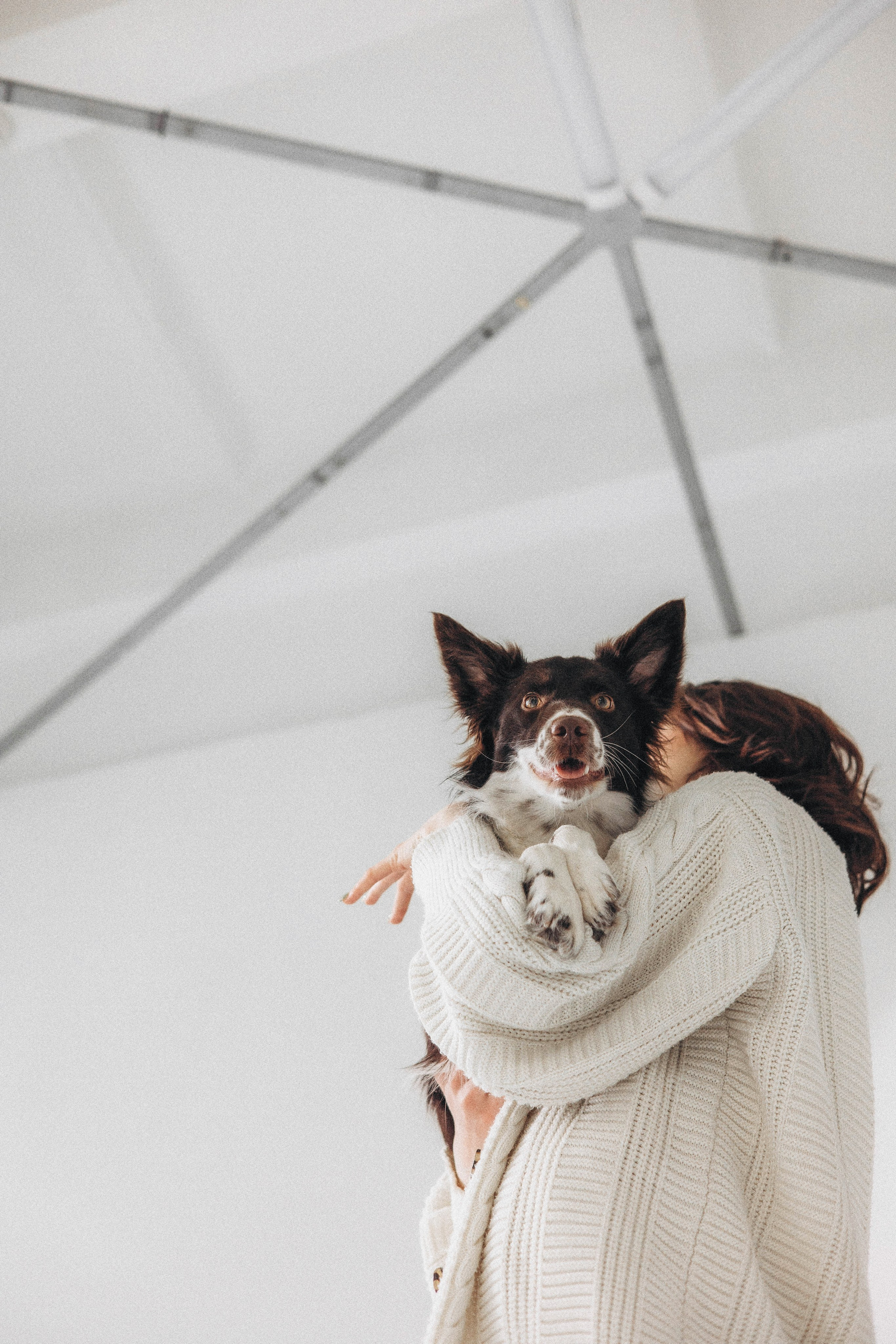 Алена и Гвендолин. Фотограф-анималист Богданова Полина