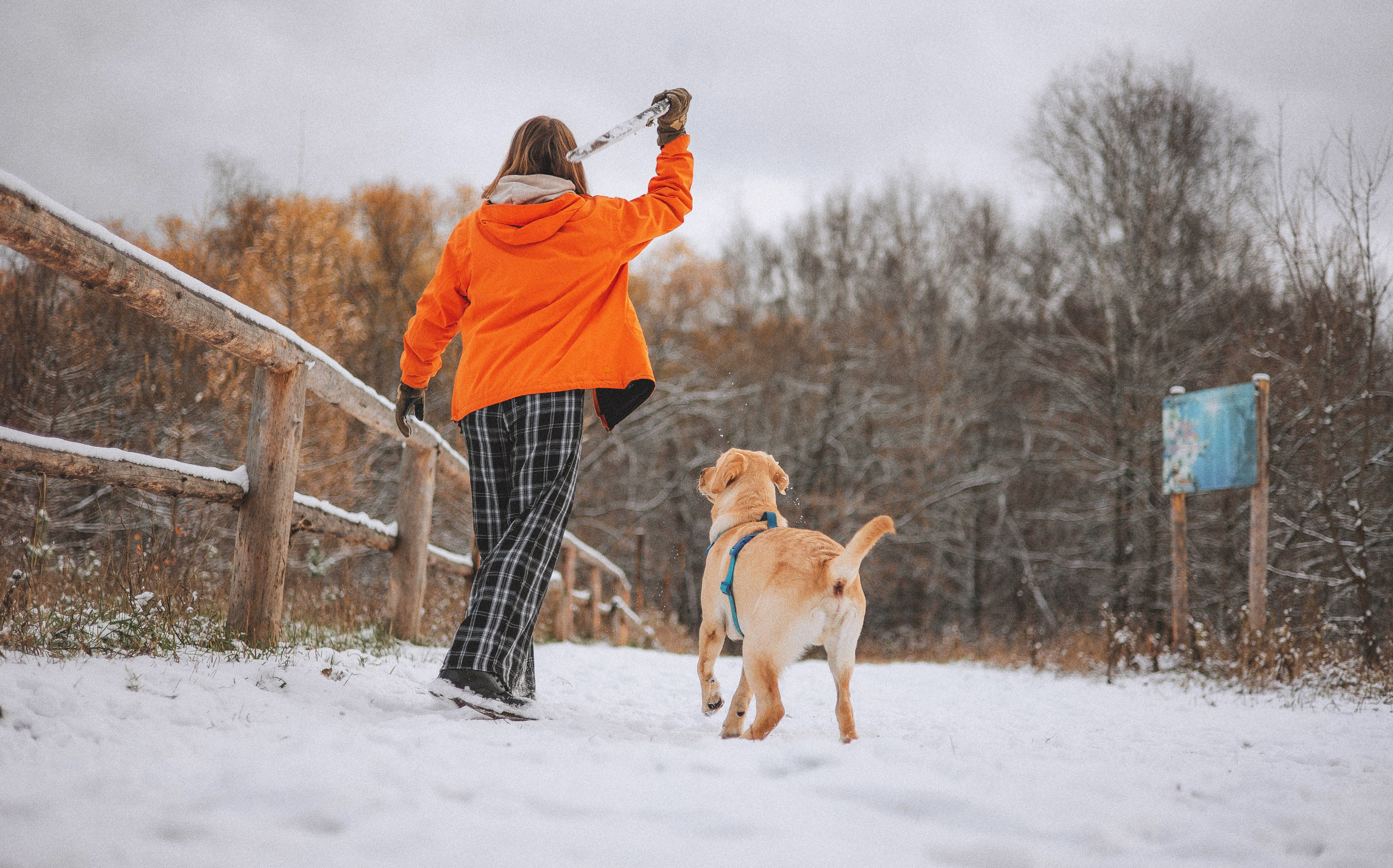 Маргарита и Варди. Фотограф-анималист Богданова Полина