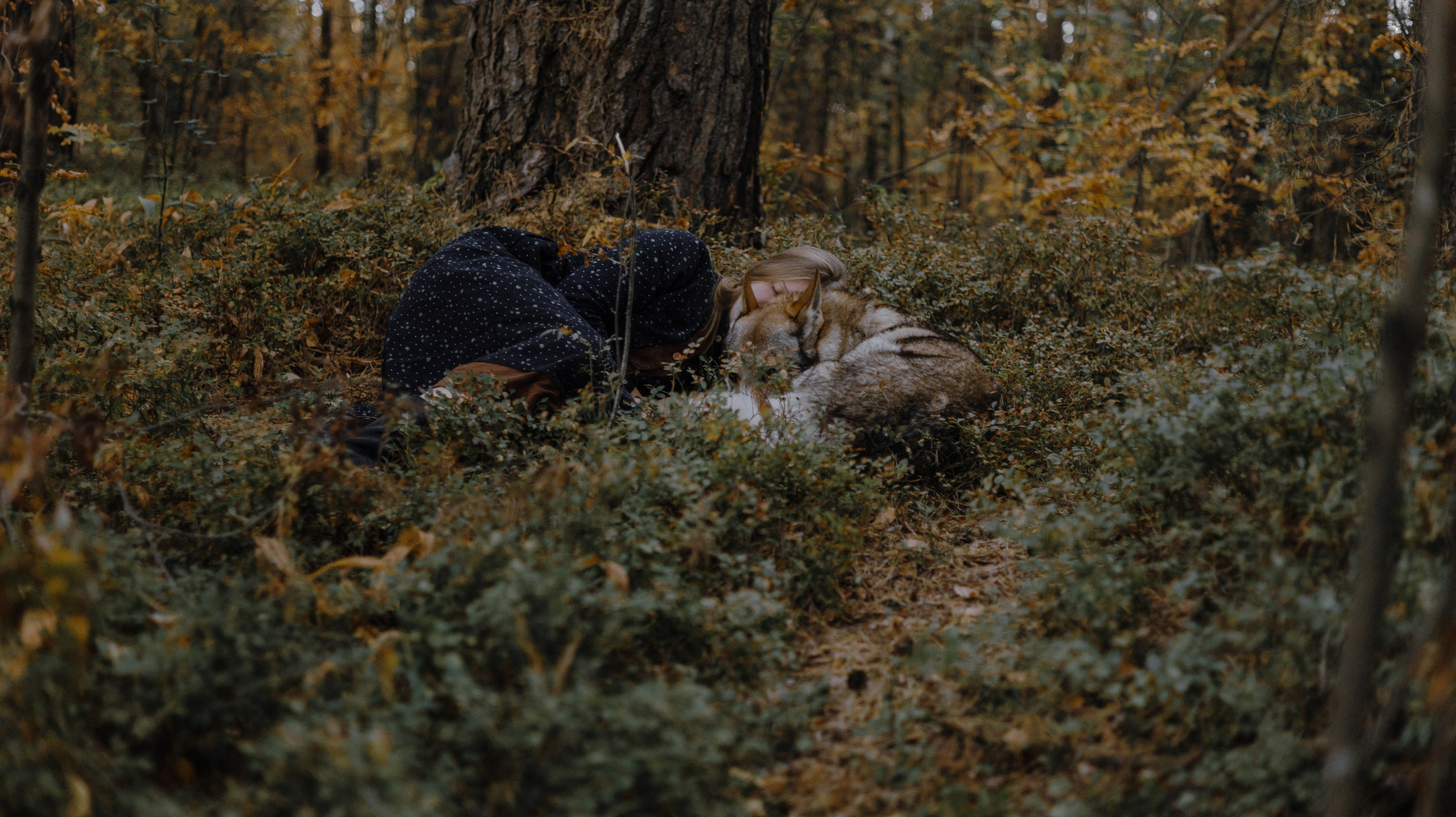 Полина и Вегард. Фотограф-анималист Богданова Полина