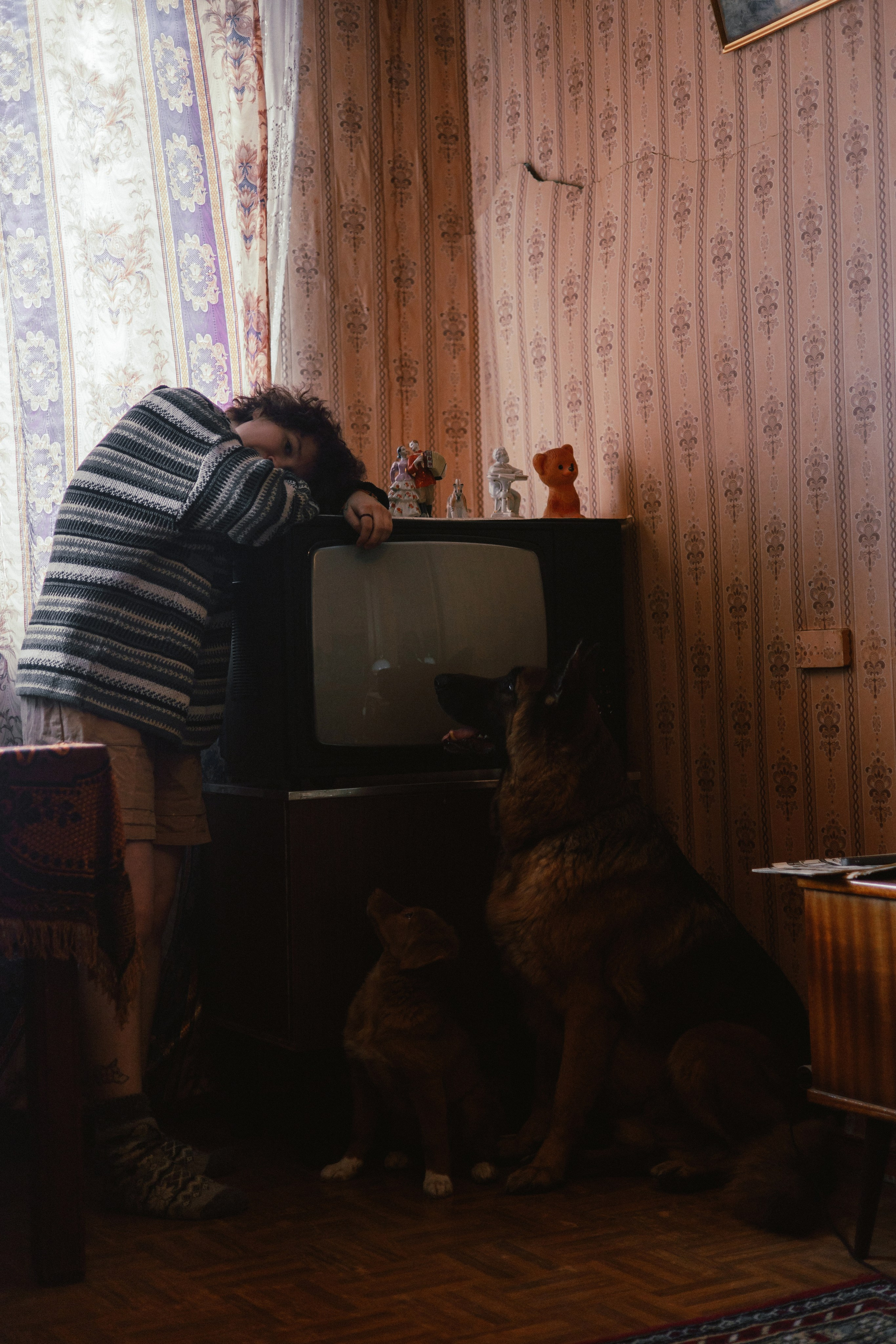 Лера, Реджи и Ральф. Фотограф-анималист Богданова Полина