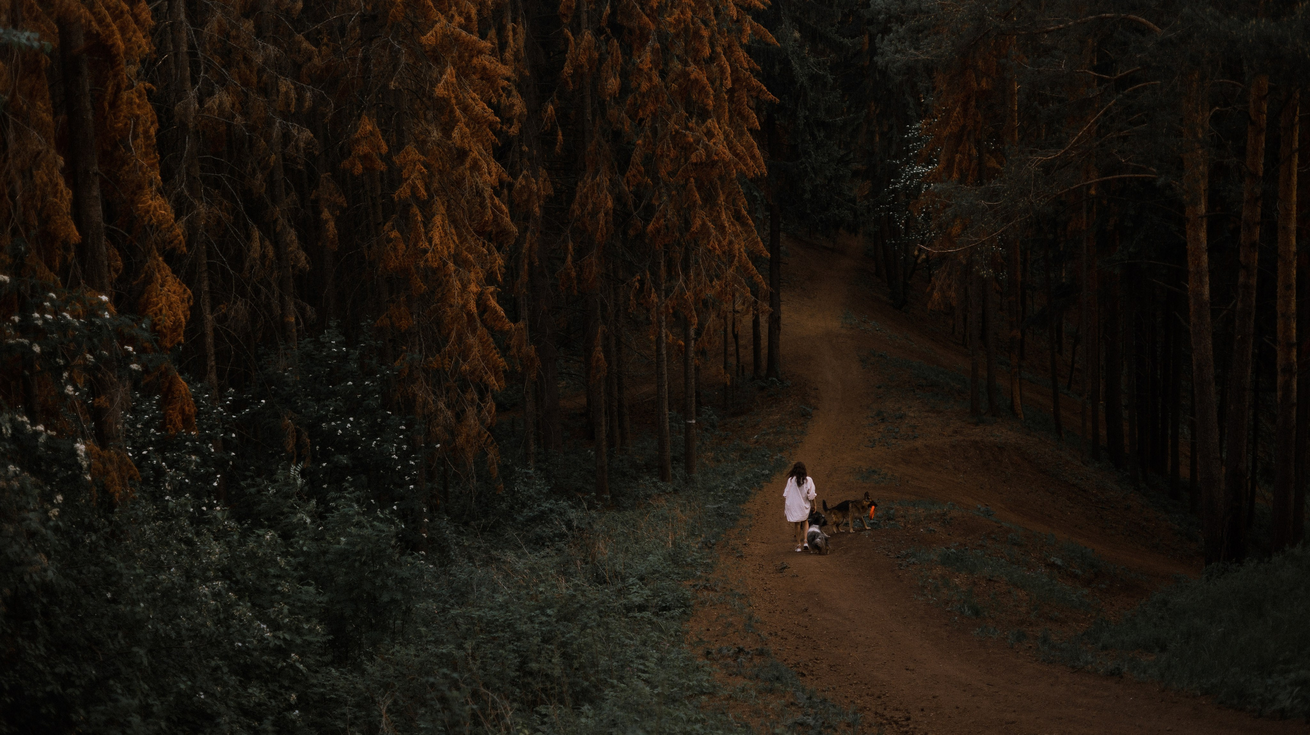 Настя, Шуня, Милка и Тигуан. Фотограф-анималист Богданова Полина