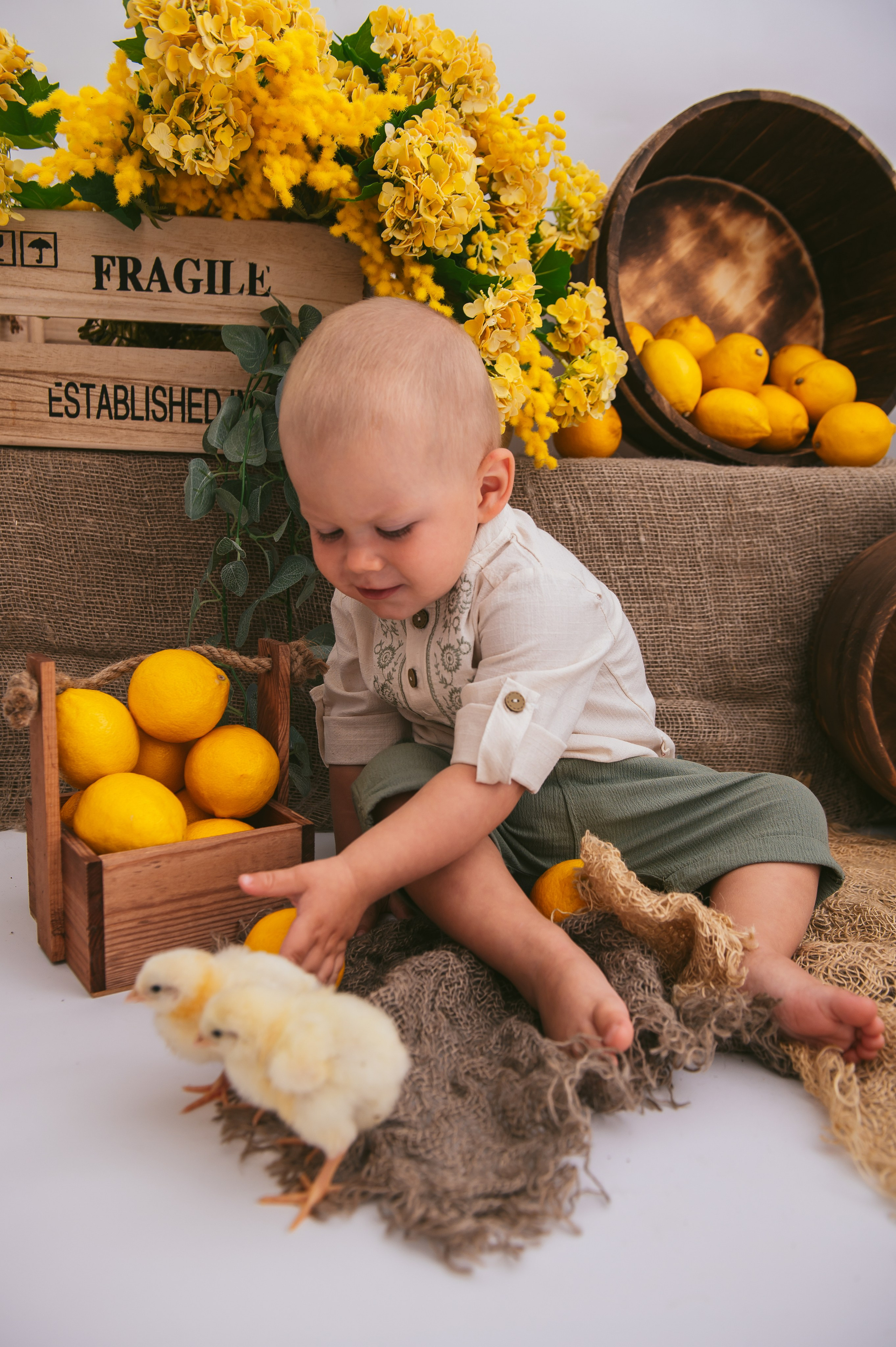 Цыплята. Детский фотограф Магадан