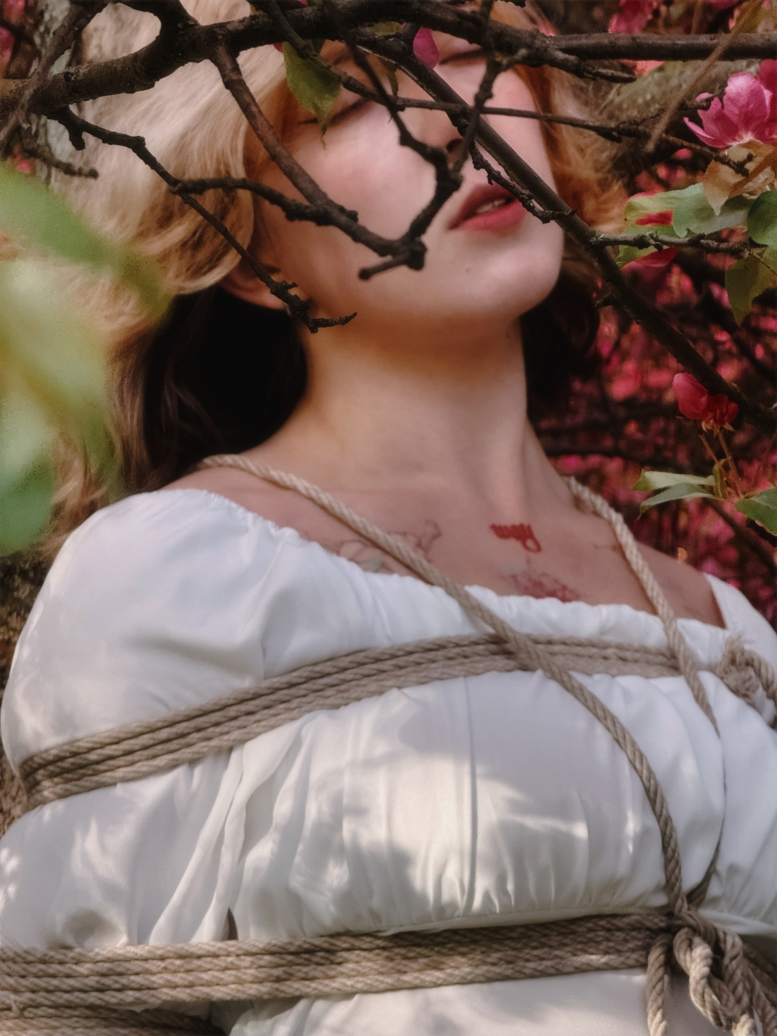 Shibari. Luckyframe1