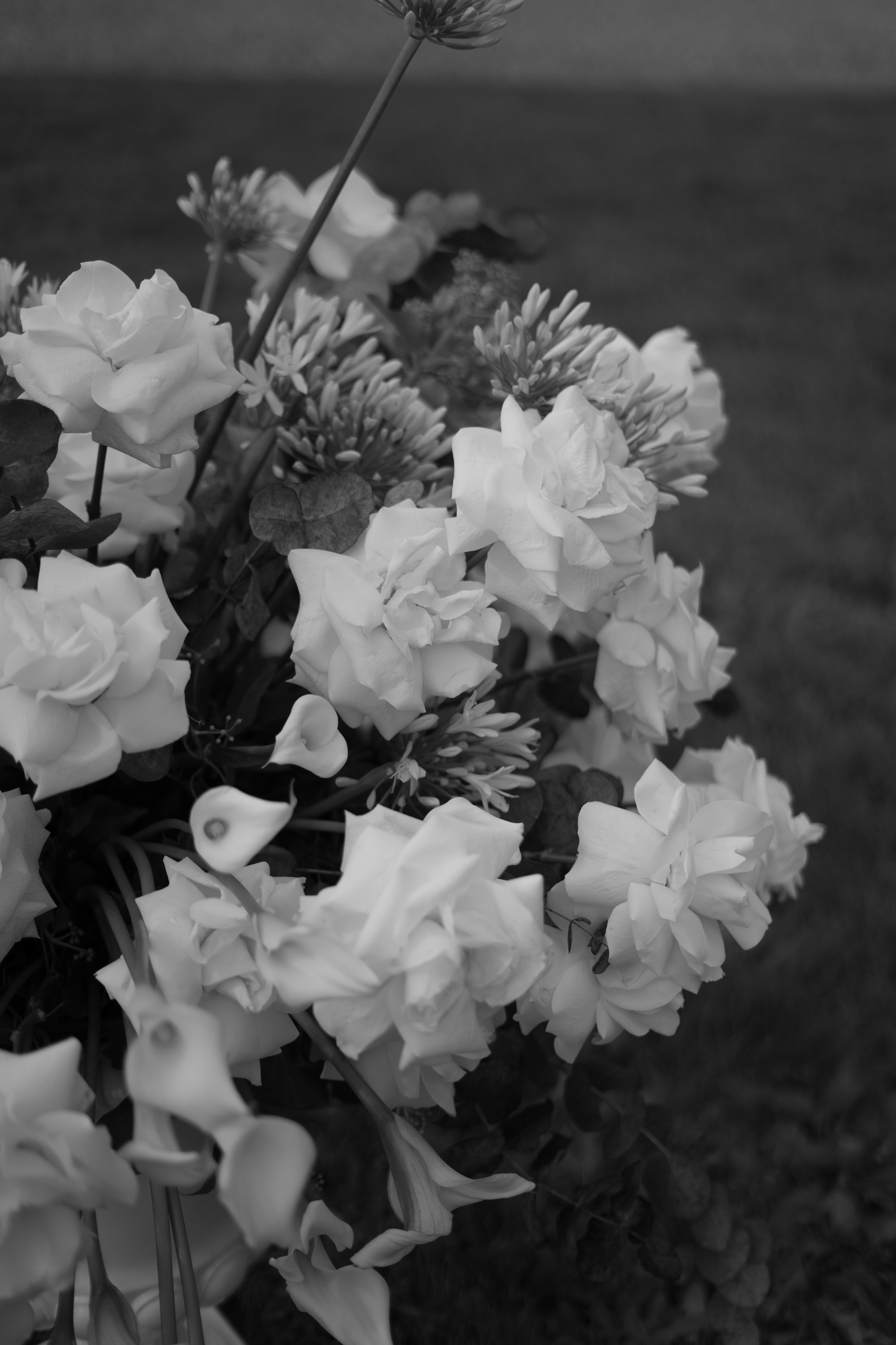 Villa Ponti Greppi Wedding. Valeria Coconova Photographer Italy Como Milan