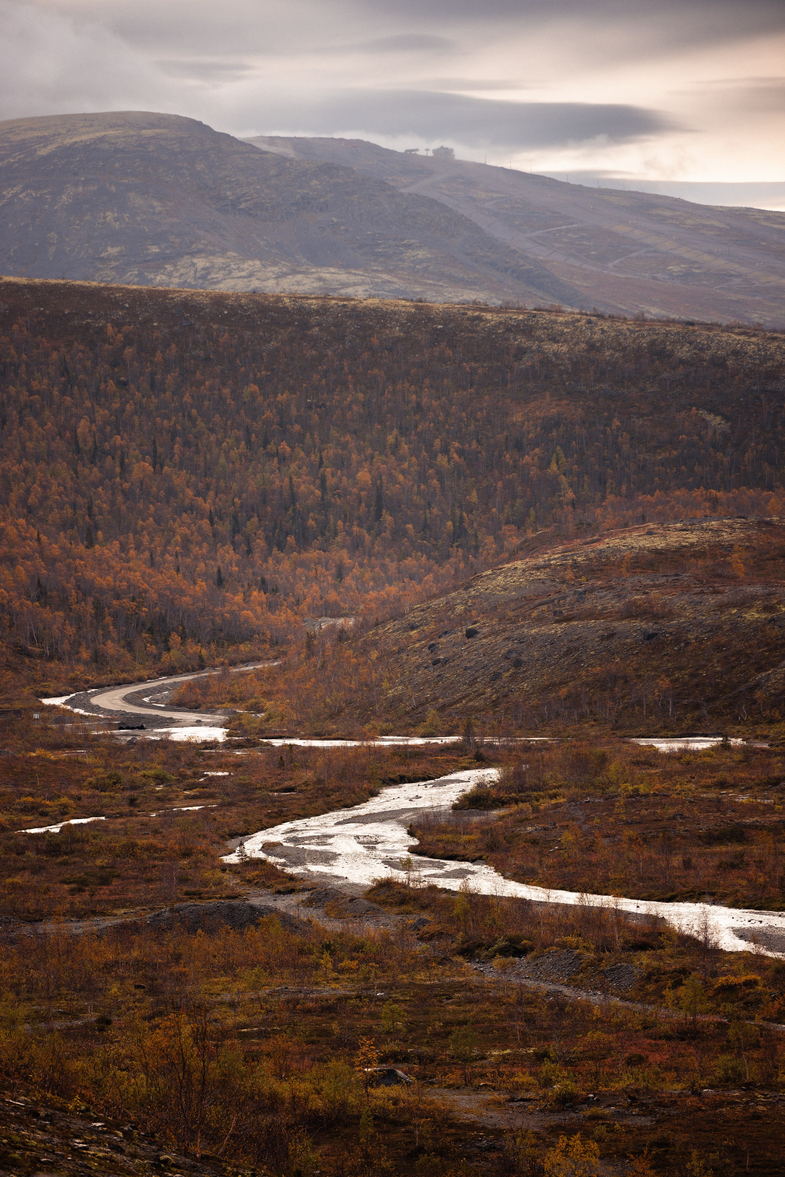 Кольский. Фотограф и видеограф анималист Аганина Дарья