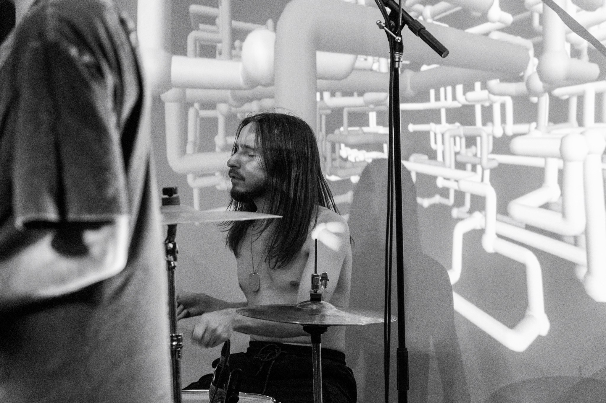 Змееед, Apodemus, 20.12.25, TAGO)))MAGO)))