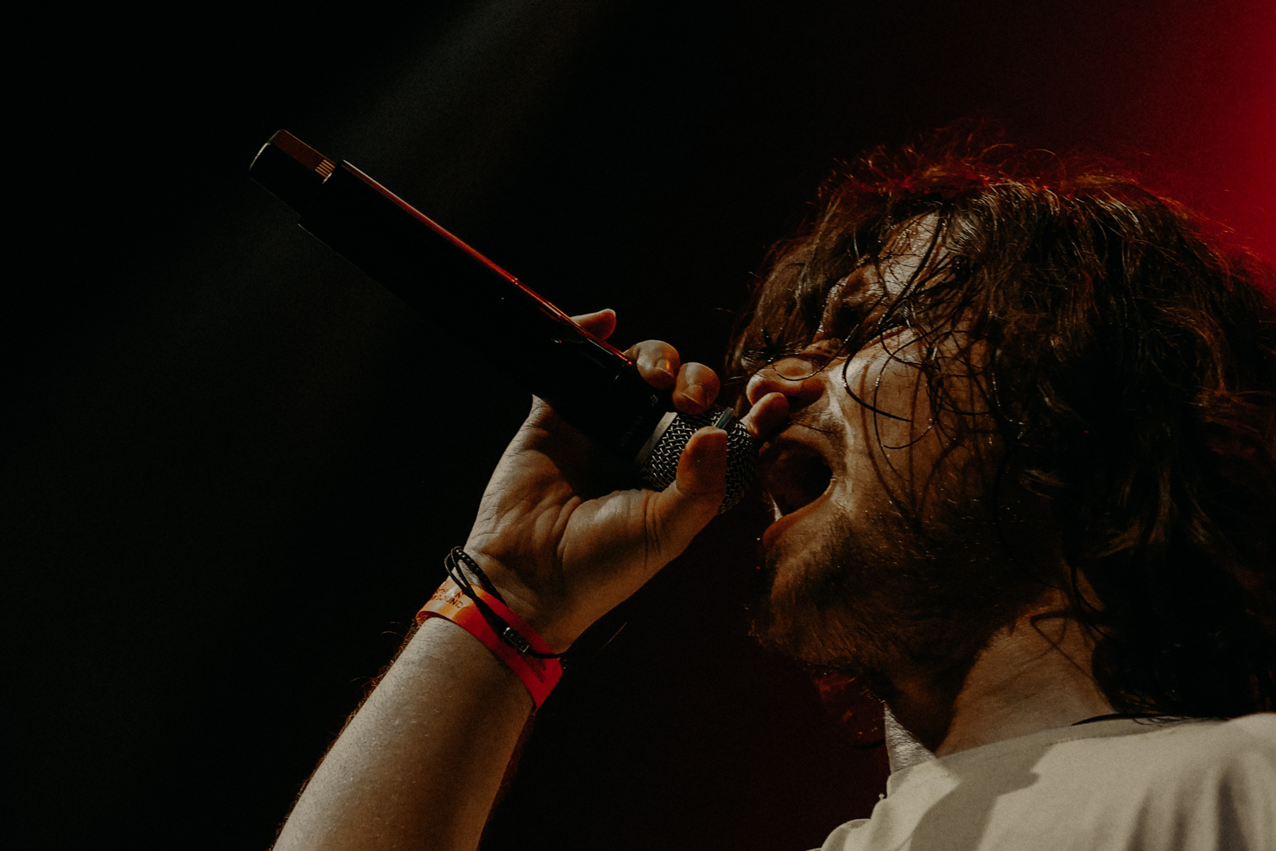 САЛУКИ @1930MOSCOW