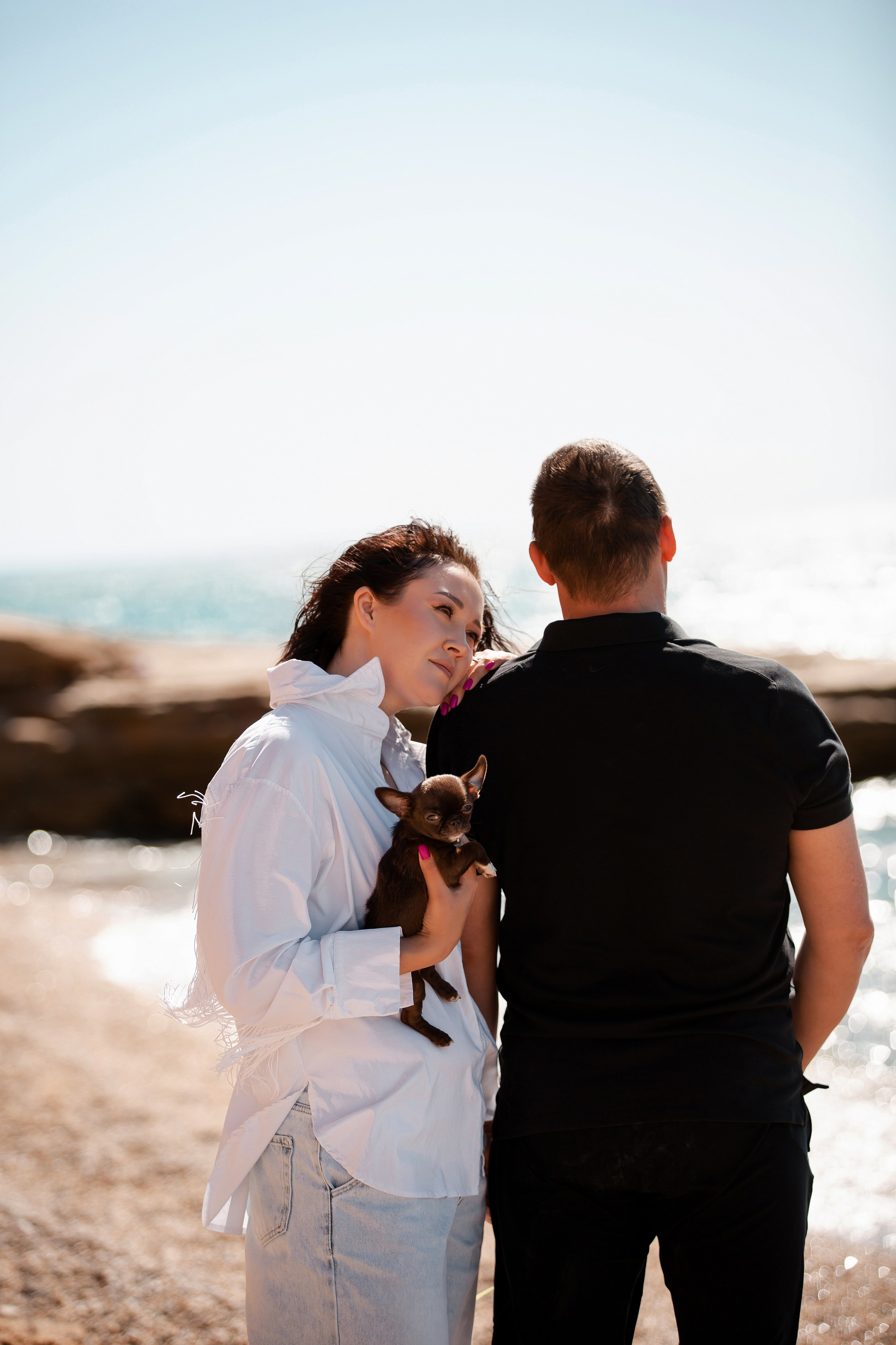 Веймаранер и чихуахуа в Крыму. Фотограф-анималист в Краснодаре Маша Мельникова