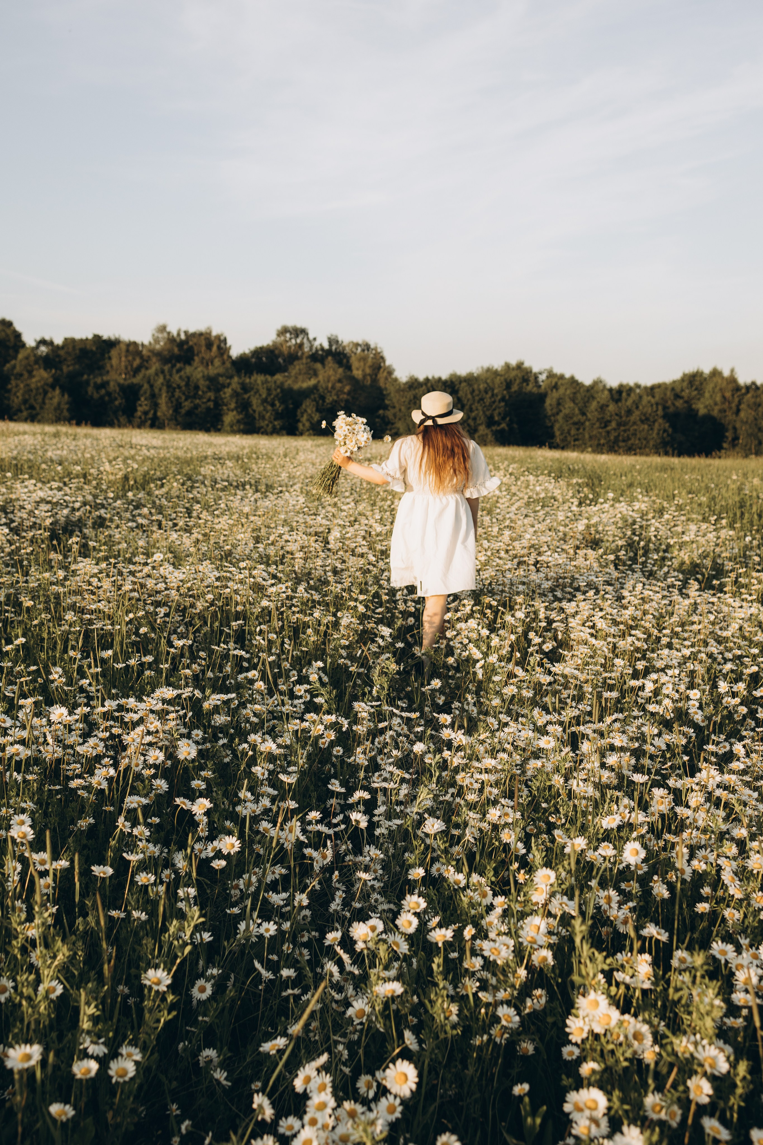 Маша и ромашки. Семейный фотограф в Москве Виктория Ястребинская