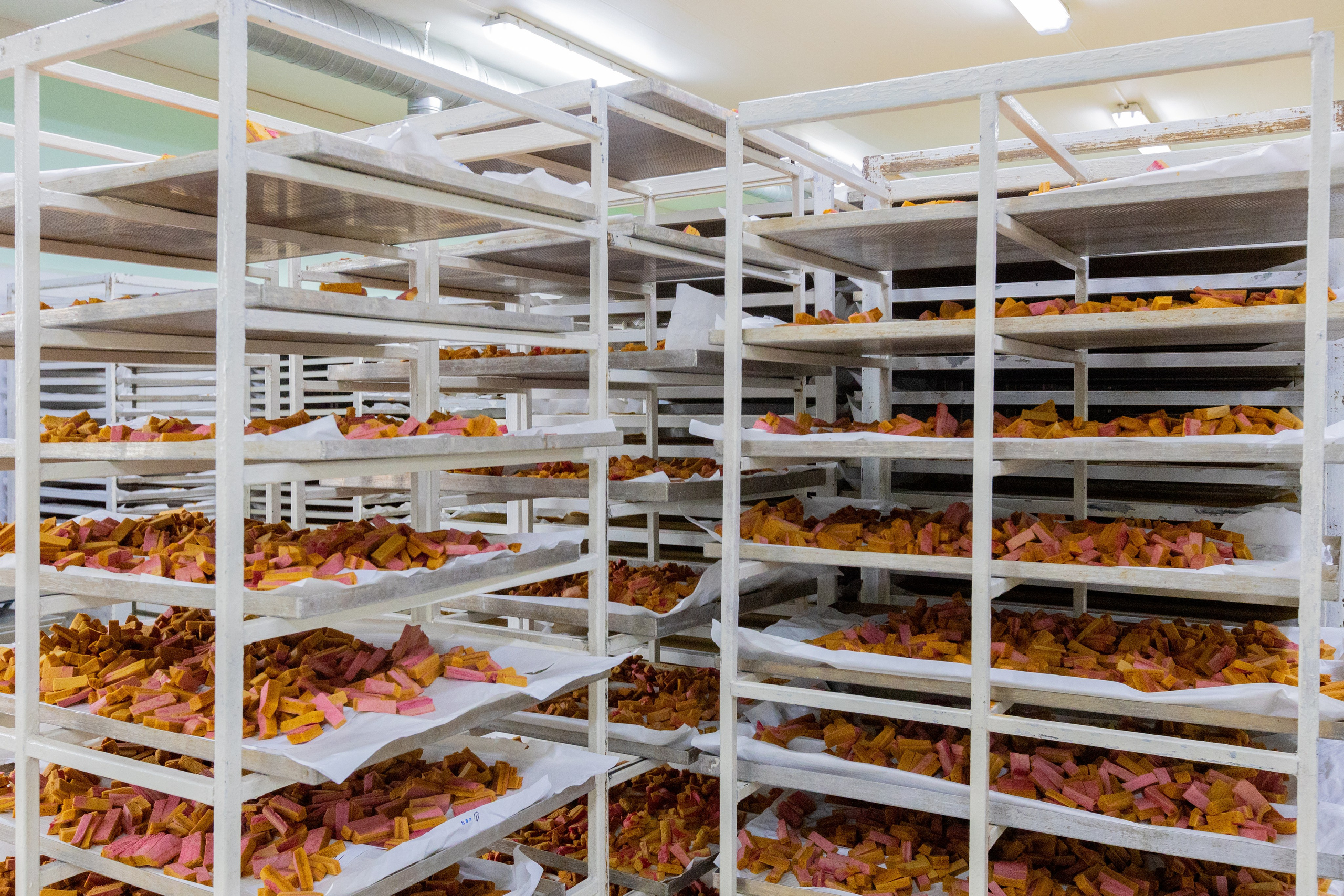 Поездка в Белев и на производство пастилы. Фотограф в Туле Крупский АнДРей. Фотостудия «КАДР71» в Туле