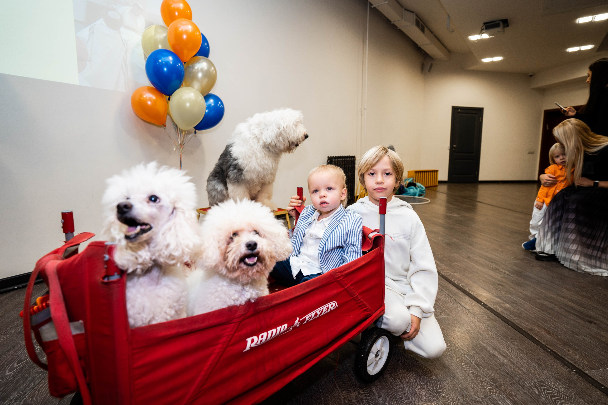 Даниэль h-day. Фотограф Абакумова Анастасия