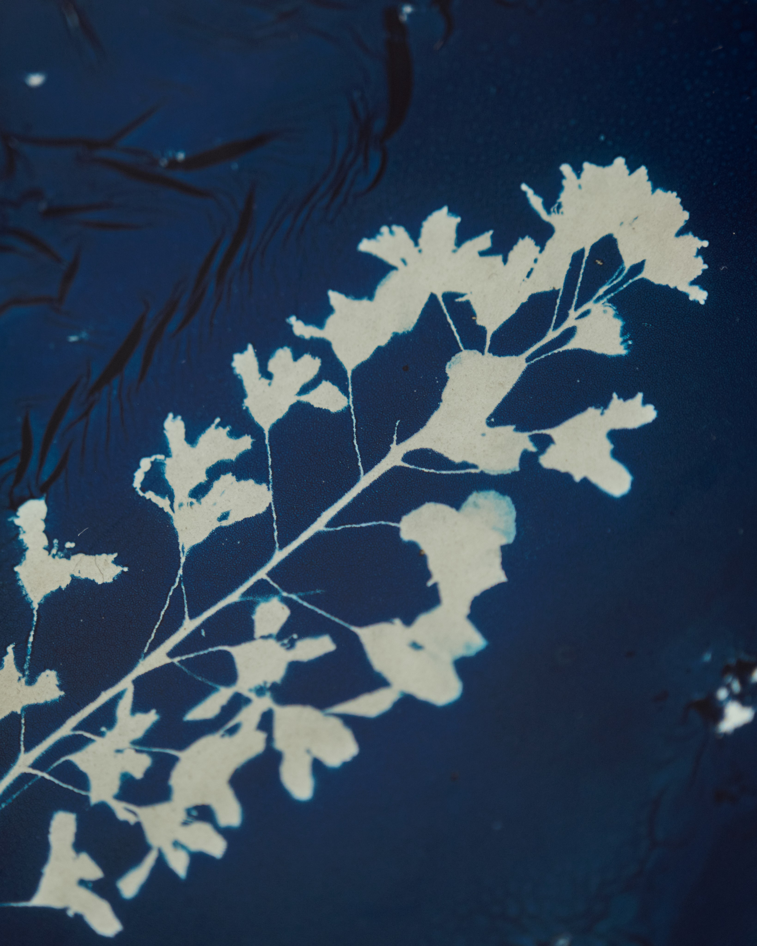 Alternative processe. Maria Norden