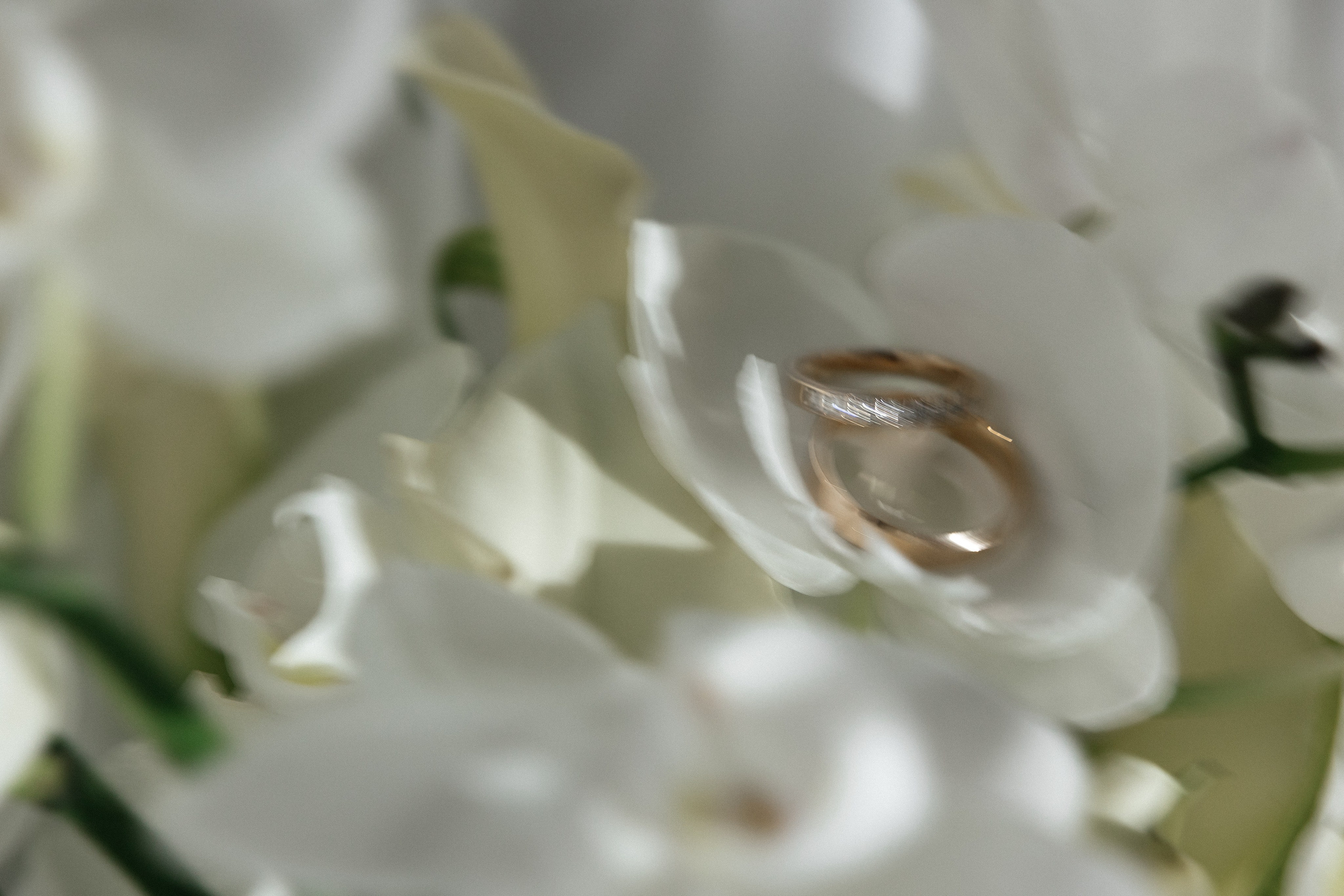 Елизавета и Александр. Коваленко Алена │ Фотограф