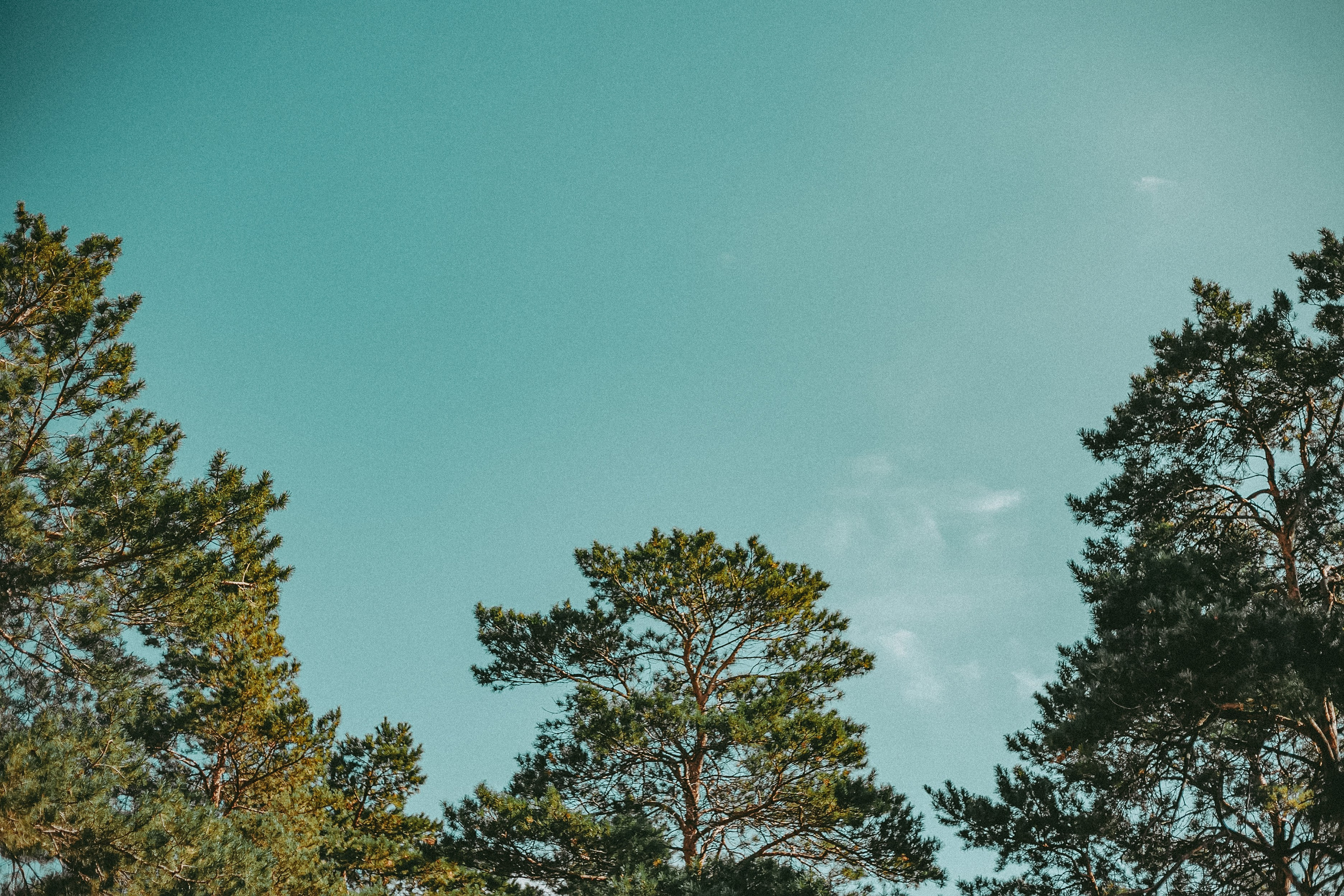 Алла и Артём. Фотограф в городе Самара Александр Гераськин