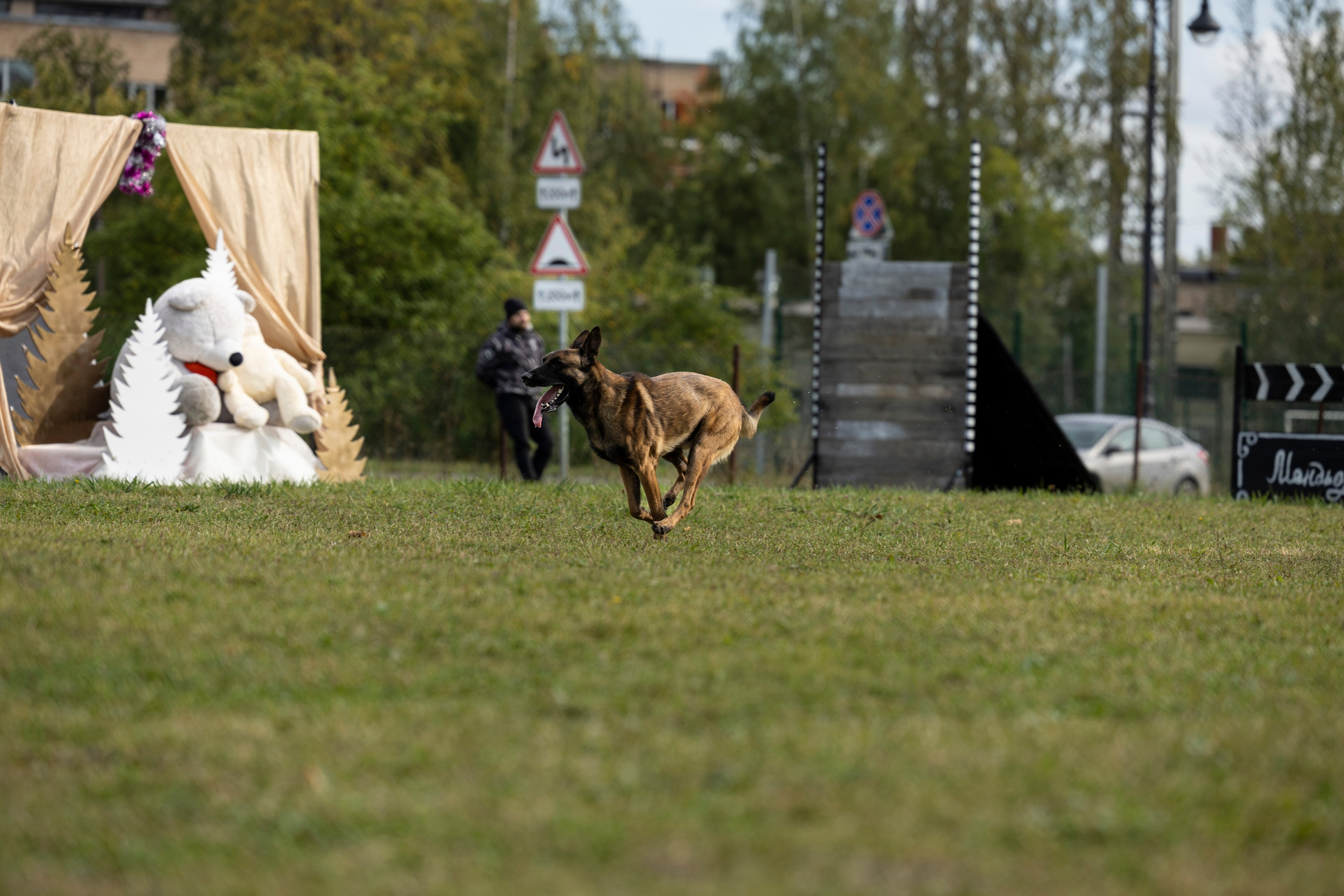 Испытания по Мондьорингу г. Пушкин. Фотограф-анималист Анна Маринич