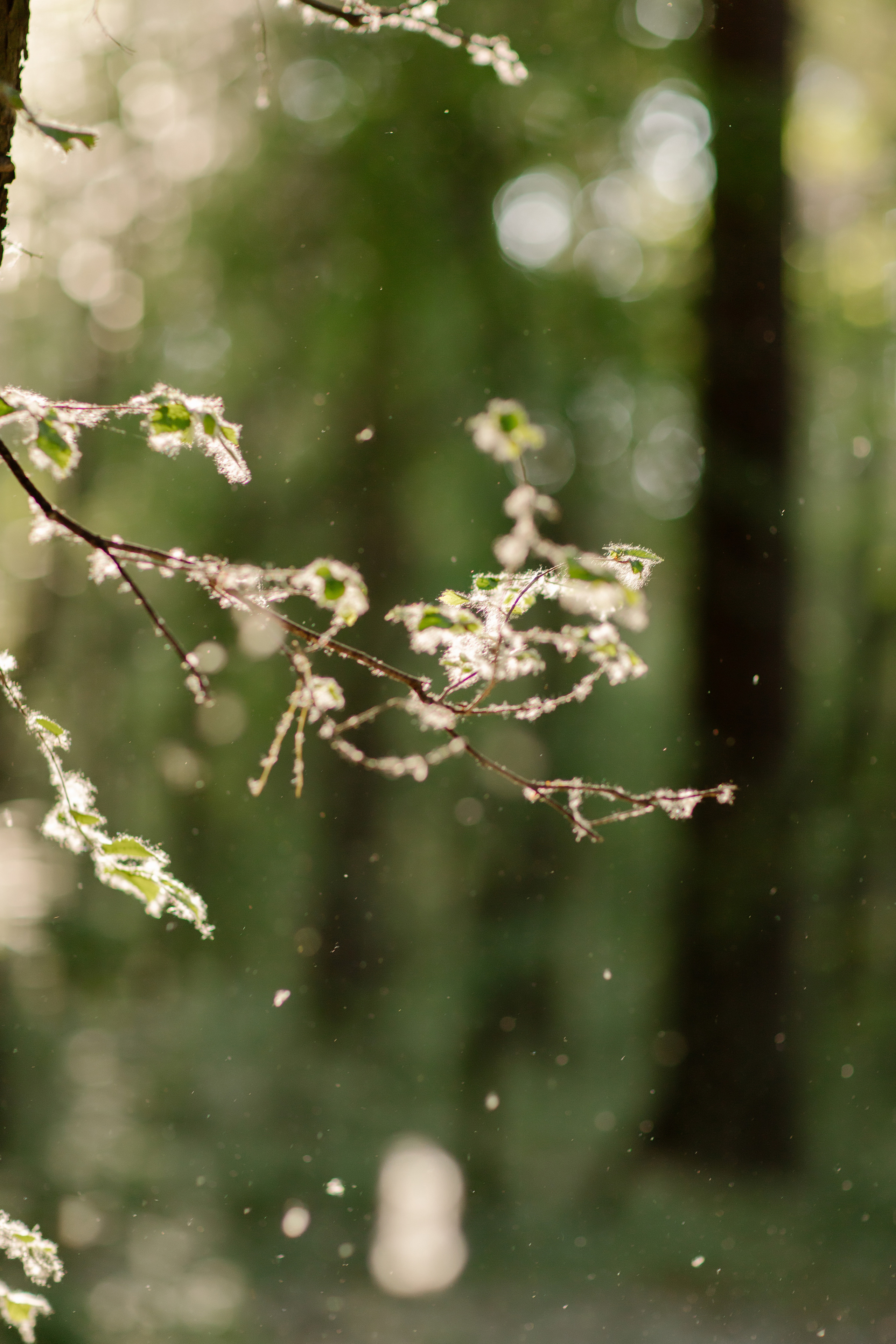 Юля и Ульяна. Психолог в Челябинске