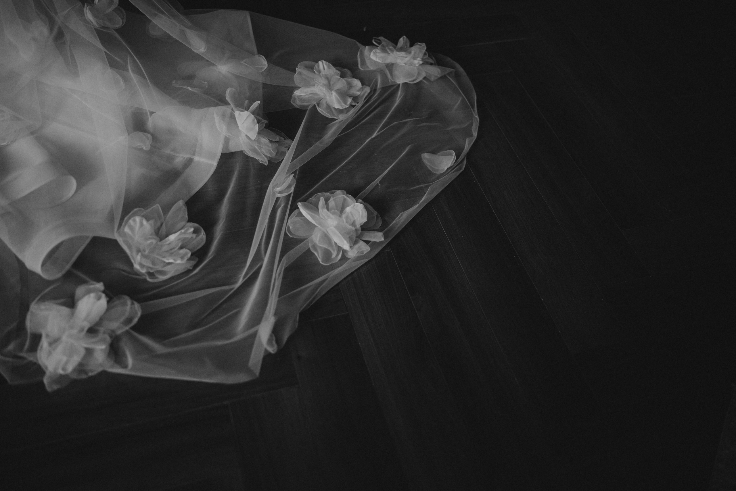 Даниил и Юлия. Цимлянск. Империал. Фотограф Костикова Анастасия Ростов-на-Дону