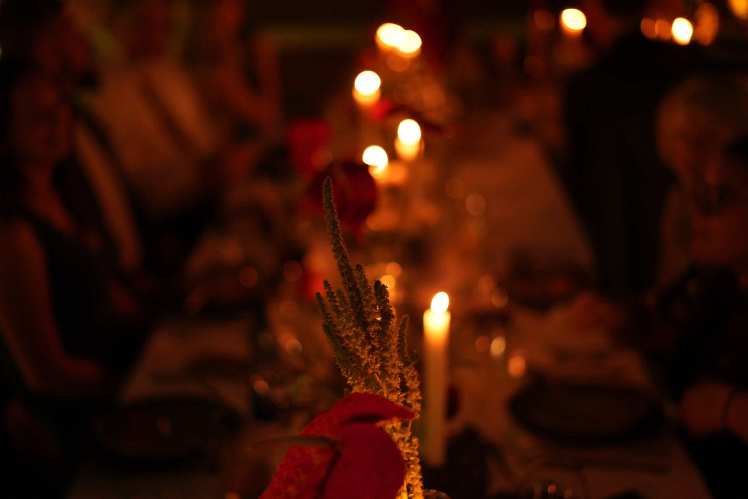 Olivia and Zack / 1 wedding day. Wedding Photographer in Barcelona and Medellin